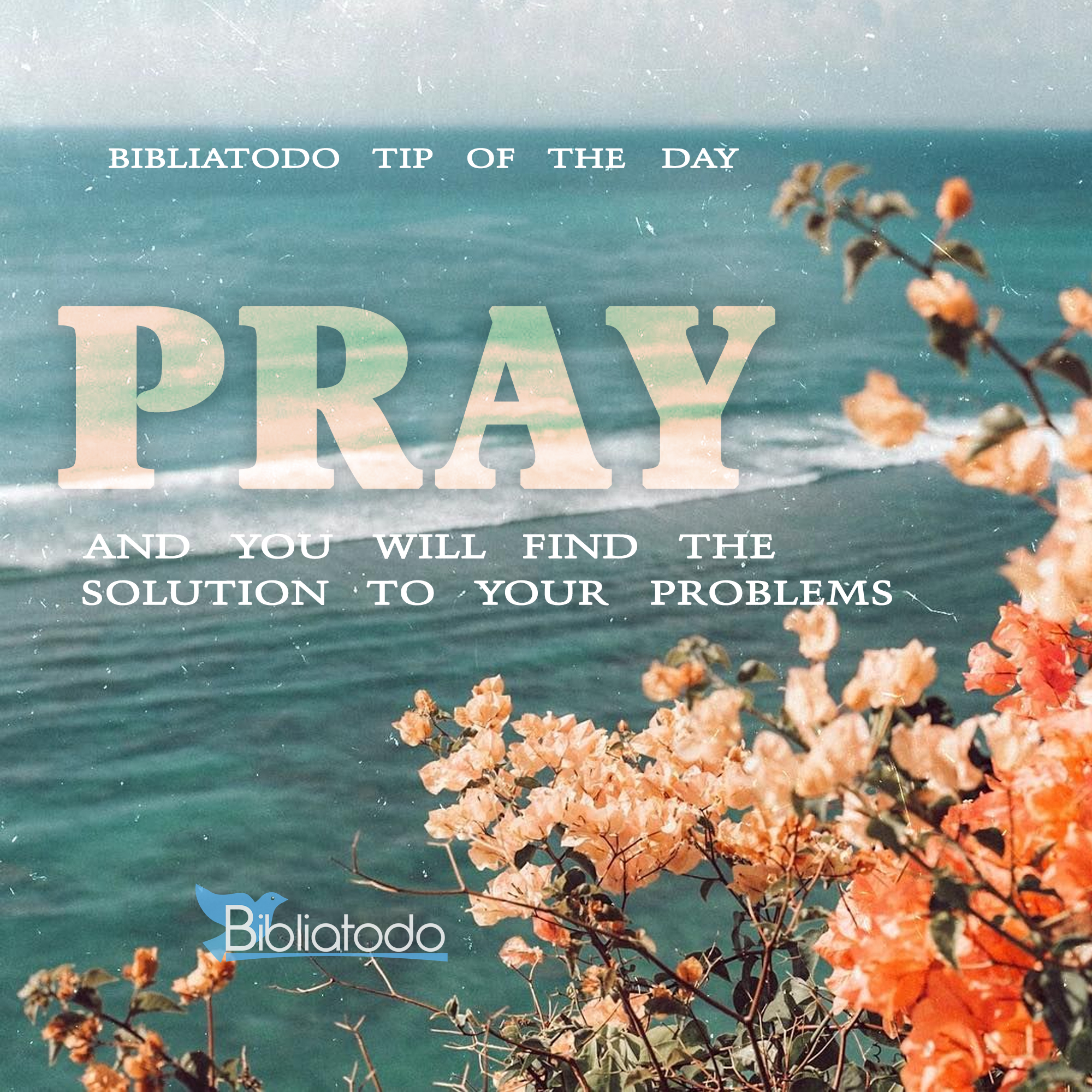 Pray and you will find the solution to your problems