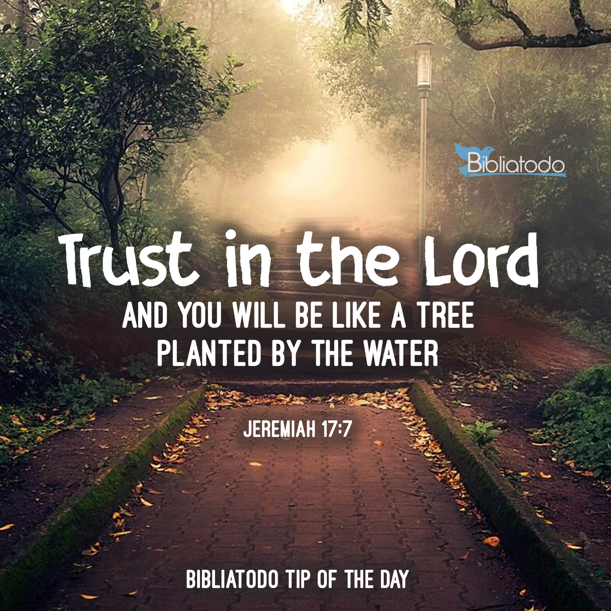 Trust in the Lord and you will be like a tree planted by the water