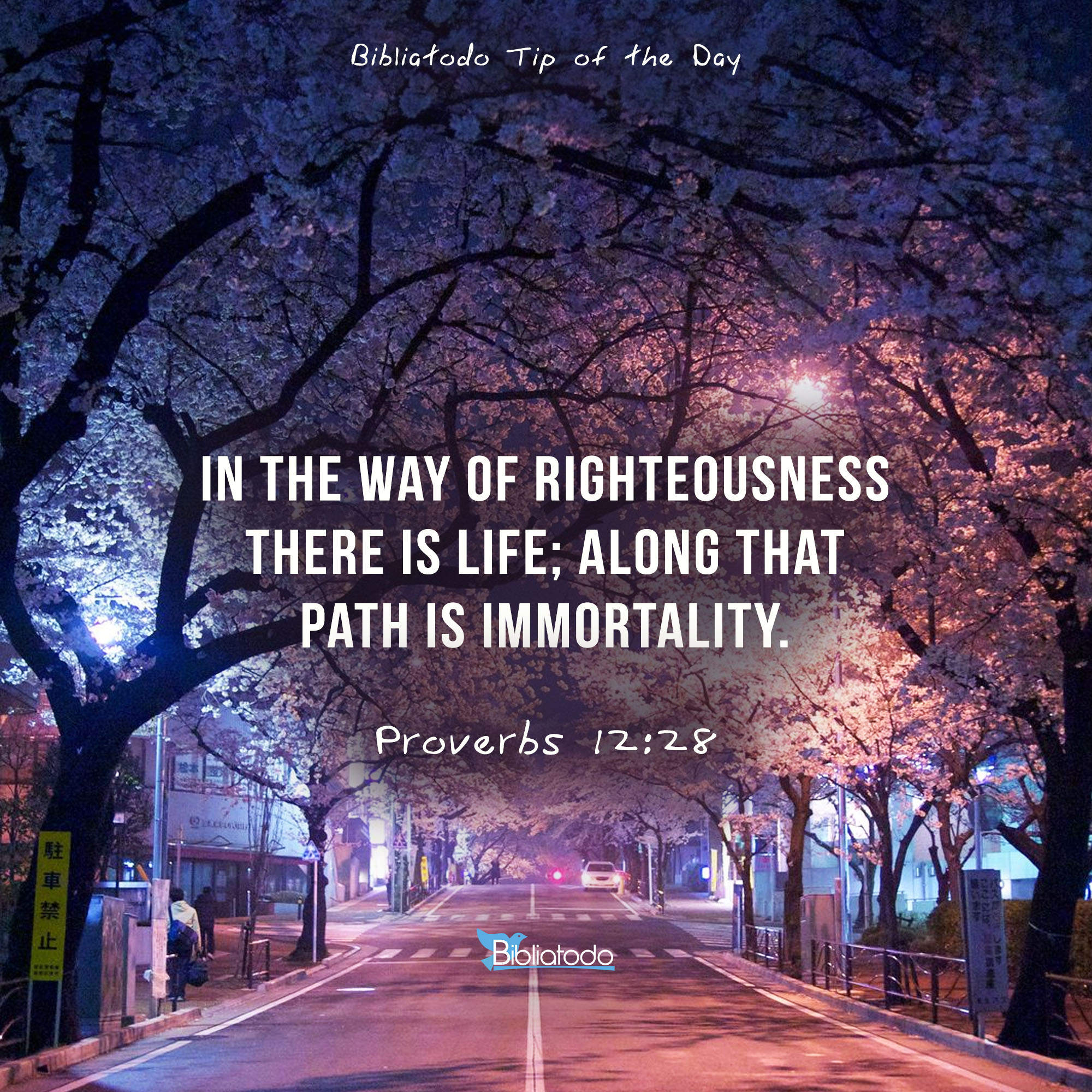 In the way of righteousness there is life