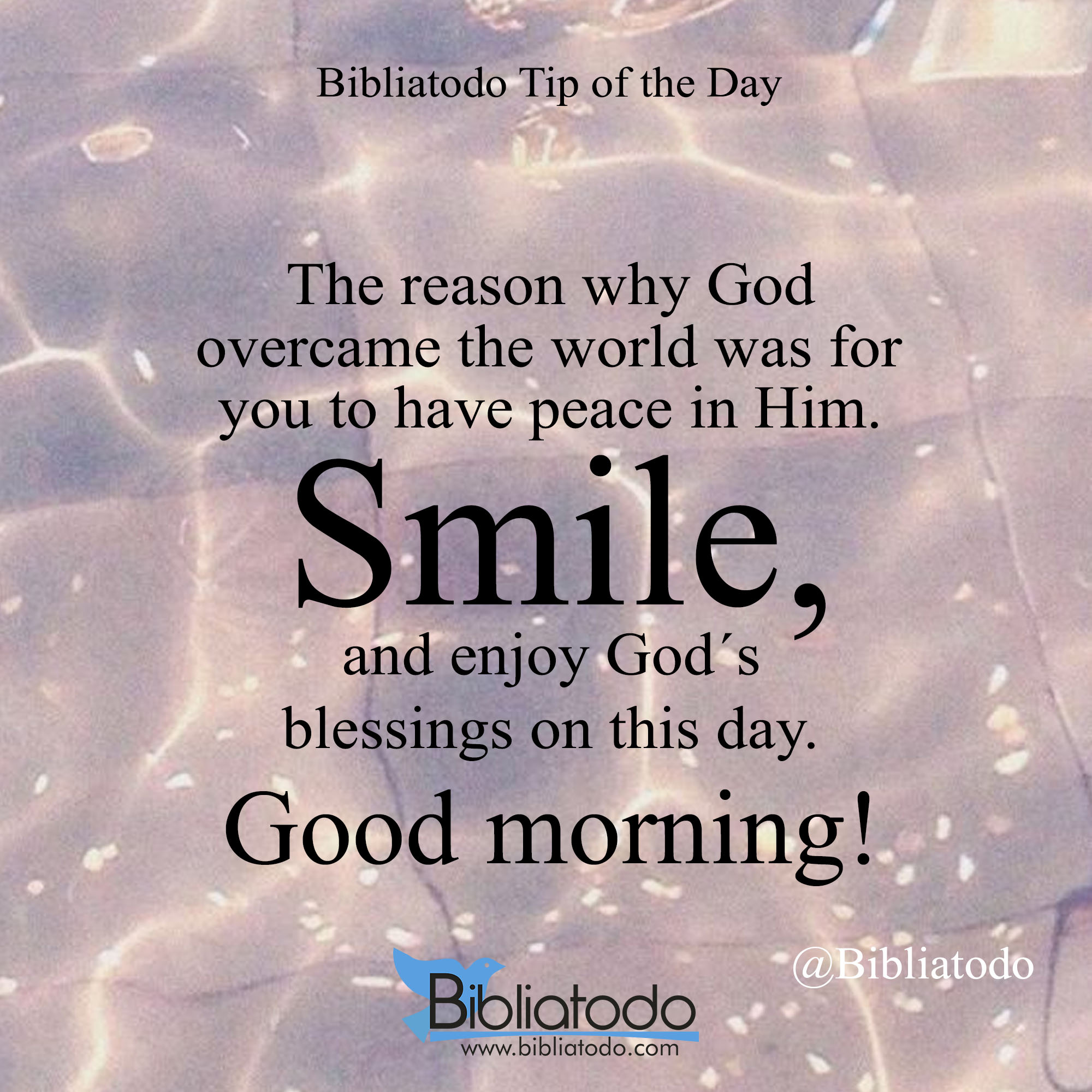 The reason why God overcame the world was for you to have peace in Him