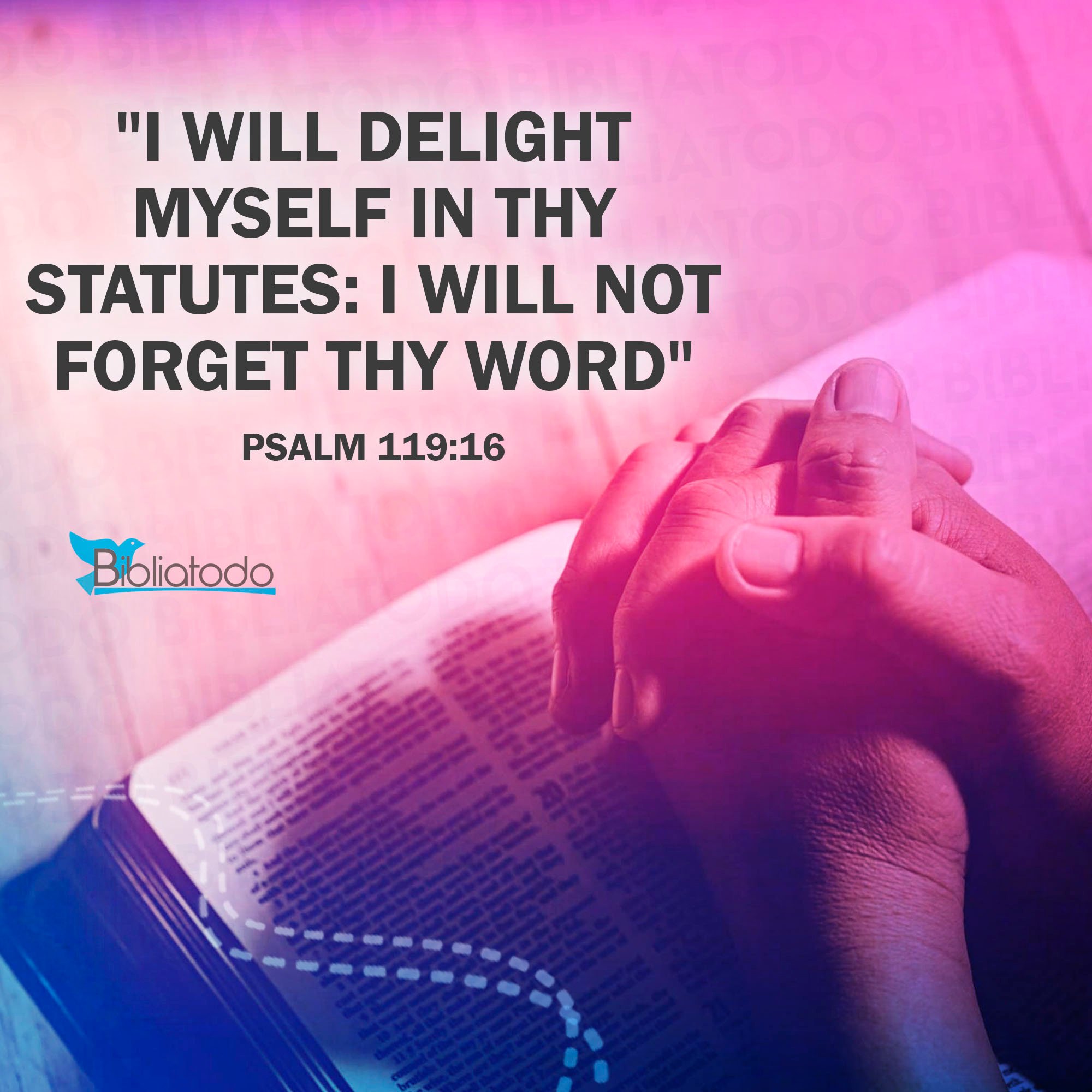 I will delight myself in thy statutes I will not forget thy word