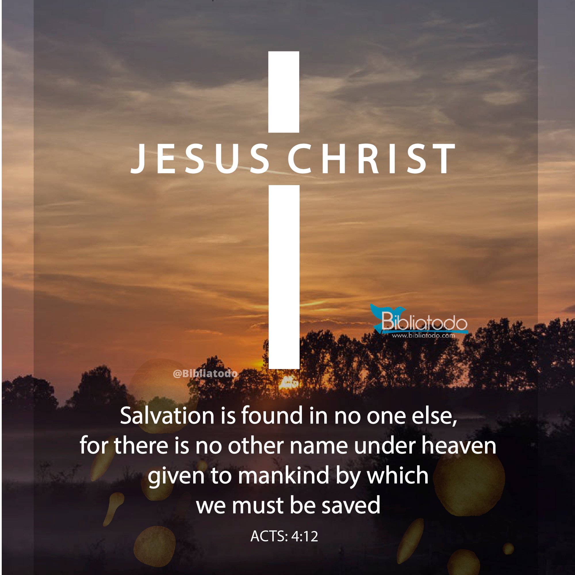 Salvation is found in no one else