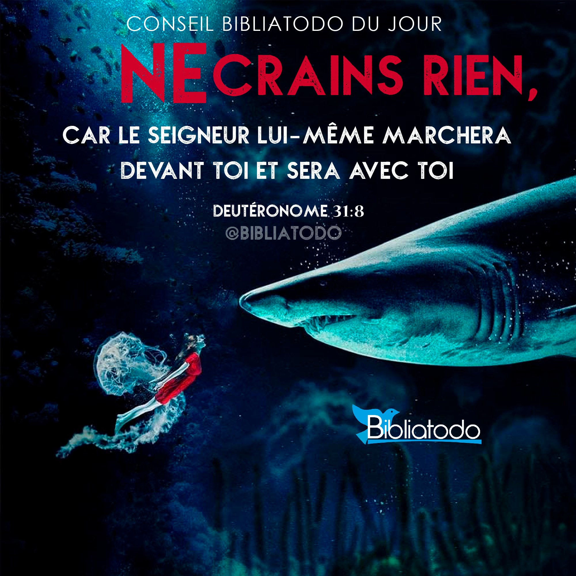 Ne crains rien car le Seigneur luimême marchera devant toi et sera