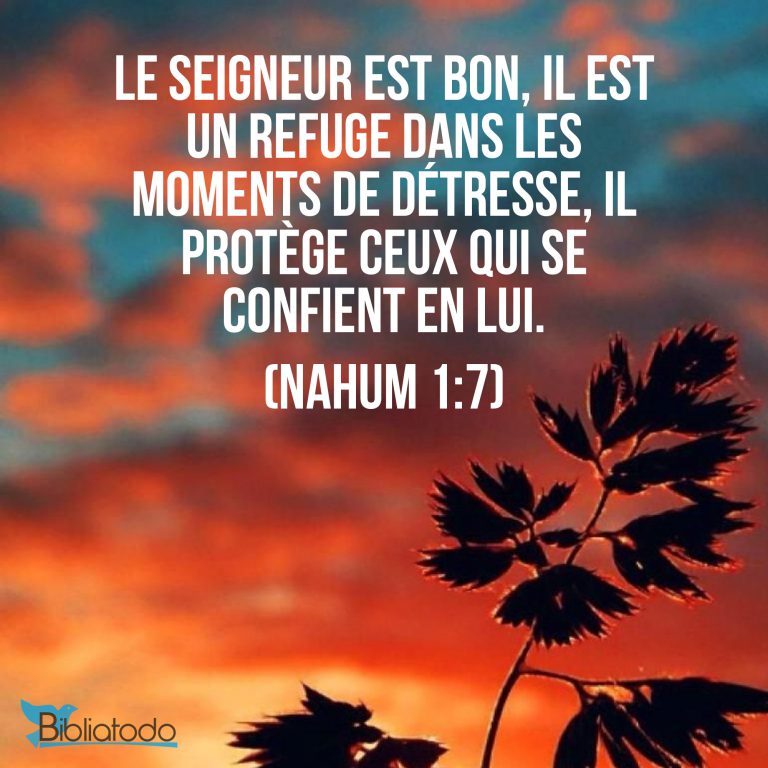 Ne crains rien car le Seigneur luimême marchera devant toi et sera