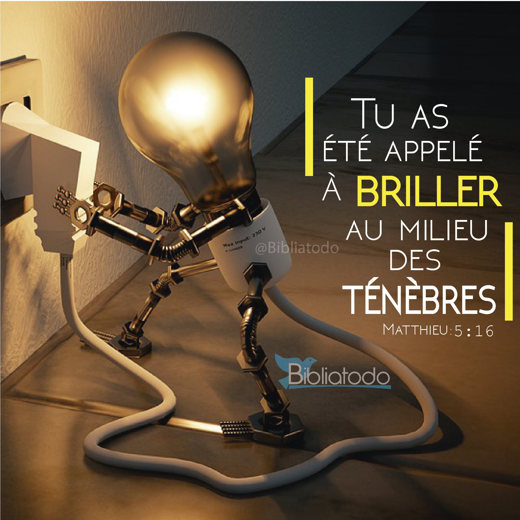 Tu as été appelé à briller au milieu des ténèbres