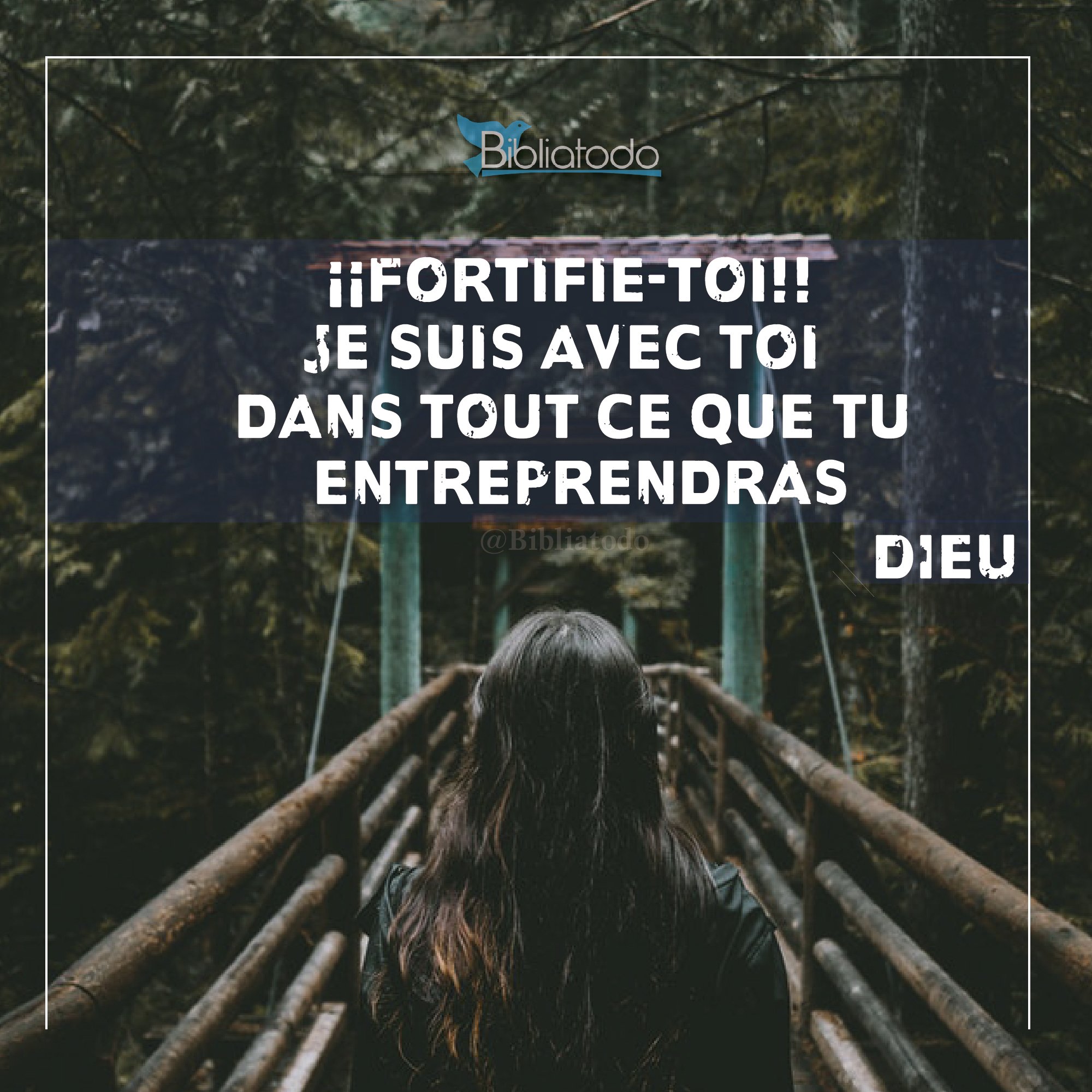 Fortifie-toi je suis avec toi dans tout ce que tu entreprendras