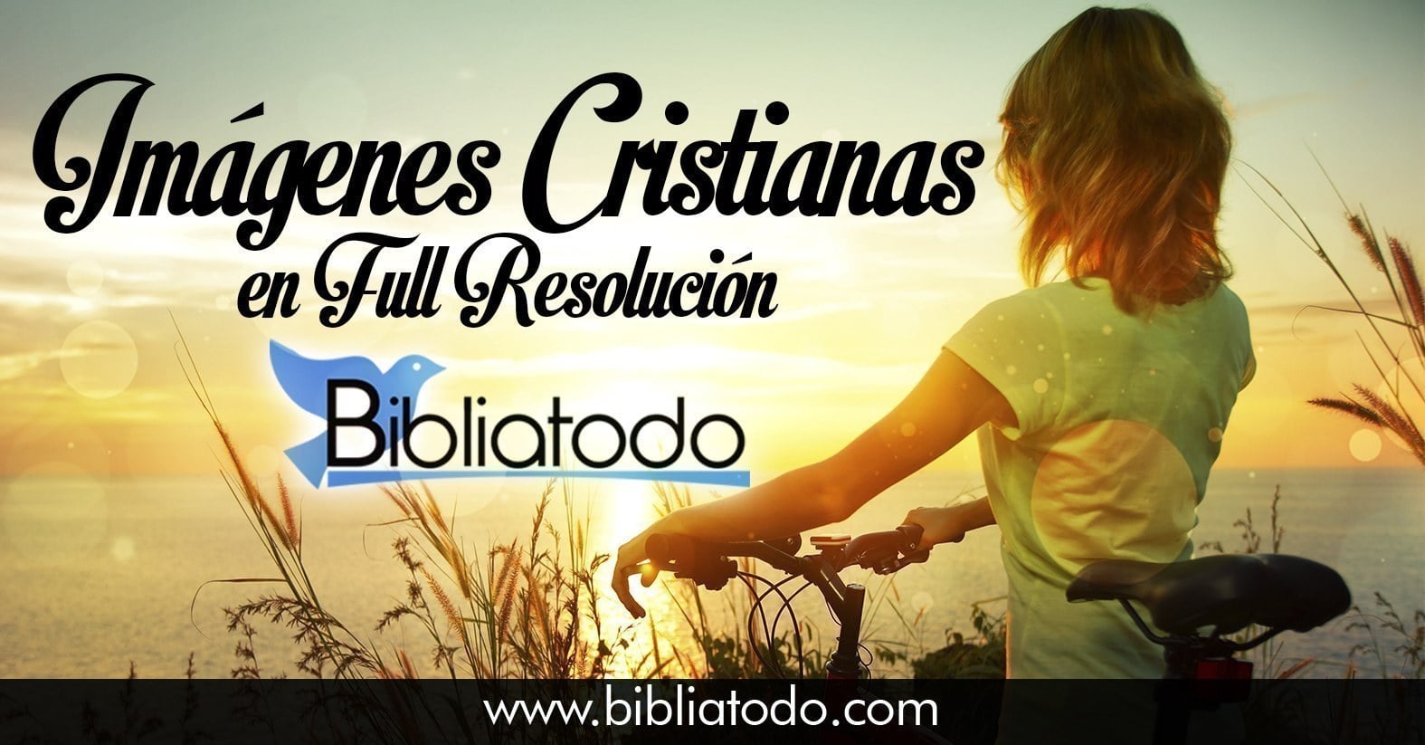 Fundación Victoria de la Cruz, image size:1575x823