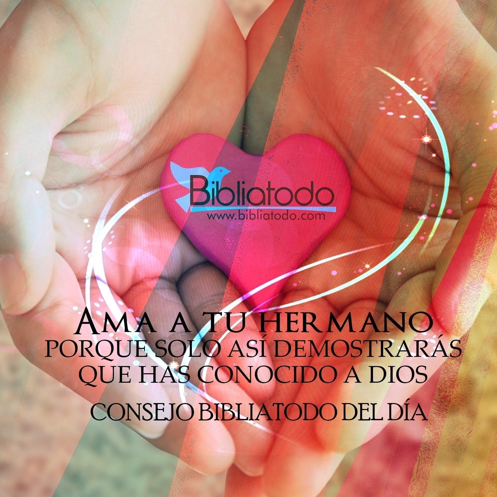 Ama a tu hermano, porque sólo así demostrarás que has conocido a Dios