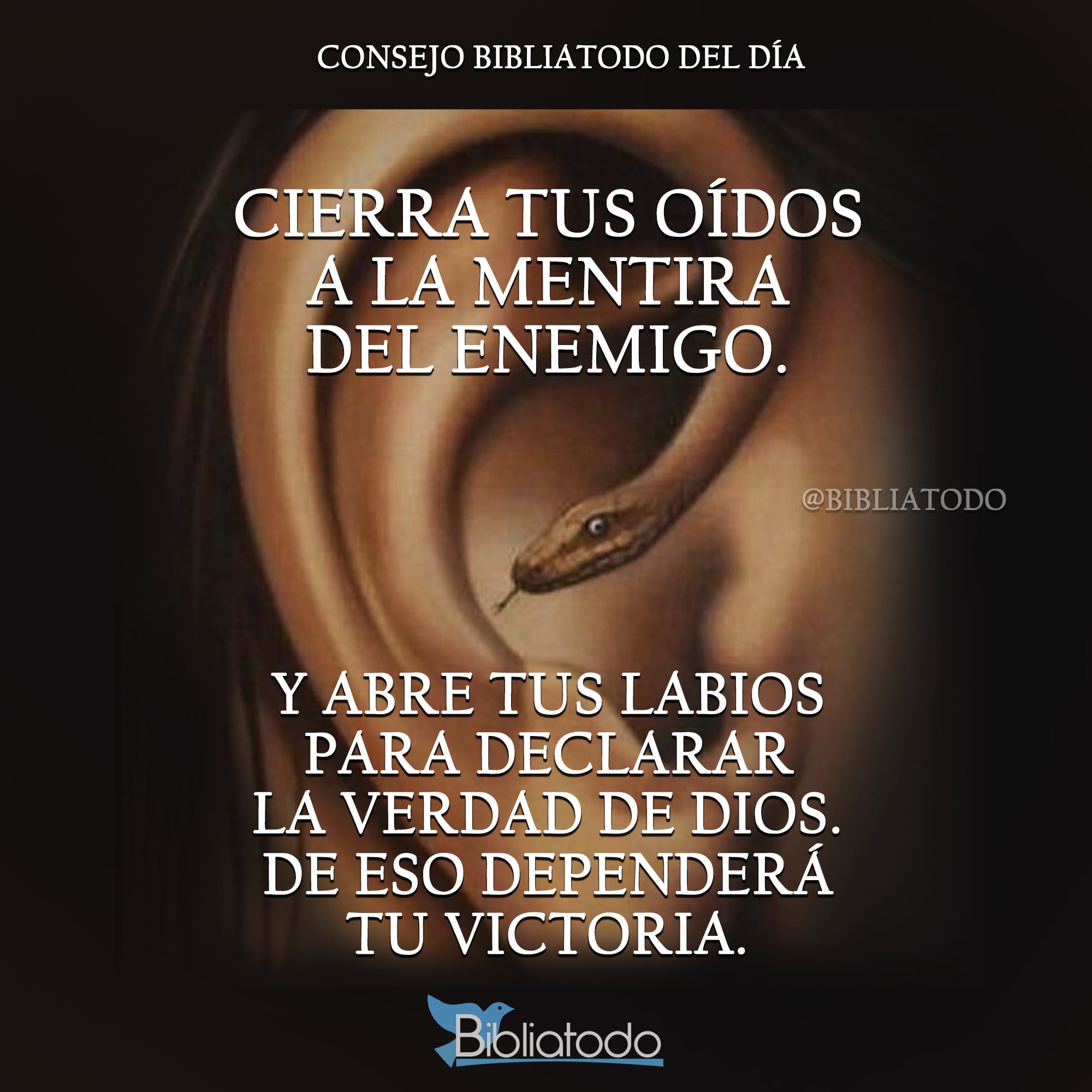 DIOS PELEA TODAS LAS BATALLAS POR TI, NADA MALO TE PASARÁ, CONFÍA y Saldrás  VICTORIOSO, image size:2000x2000