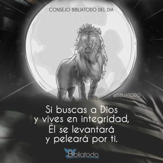 Si buscas a Dios y vives en integridad Él se levantará y peleará por ti