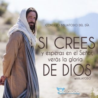Si crees y esperas en el Señor verás la gloria de Dios