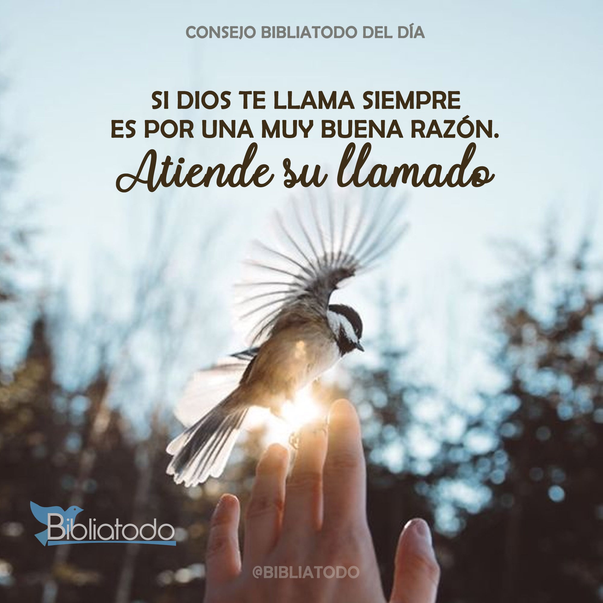 Si Dios te llama siempre es por una muy buena razón