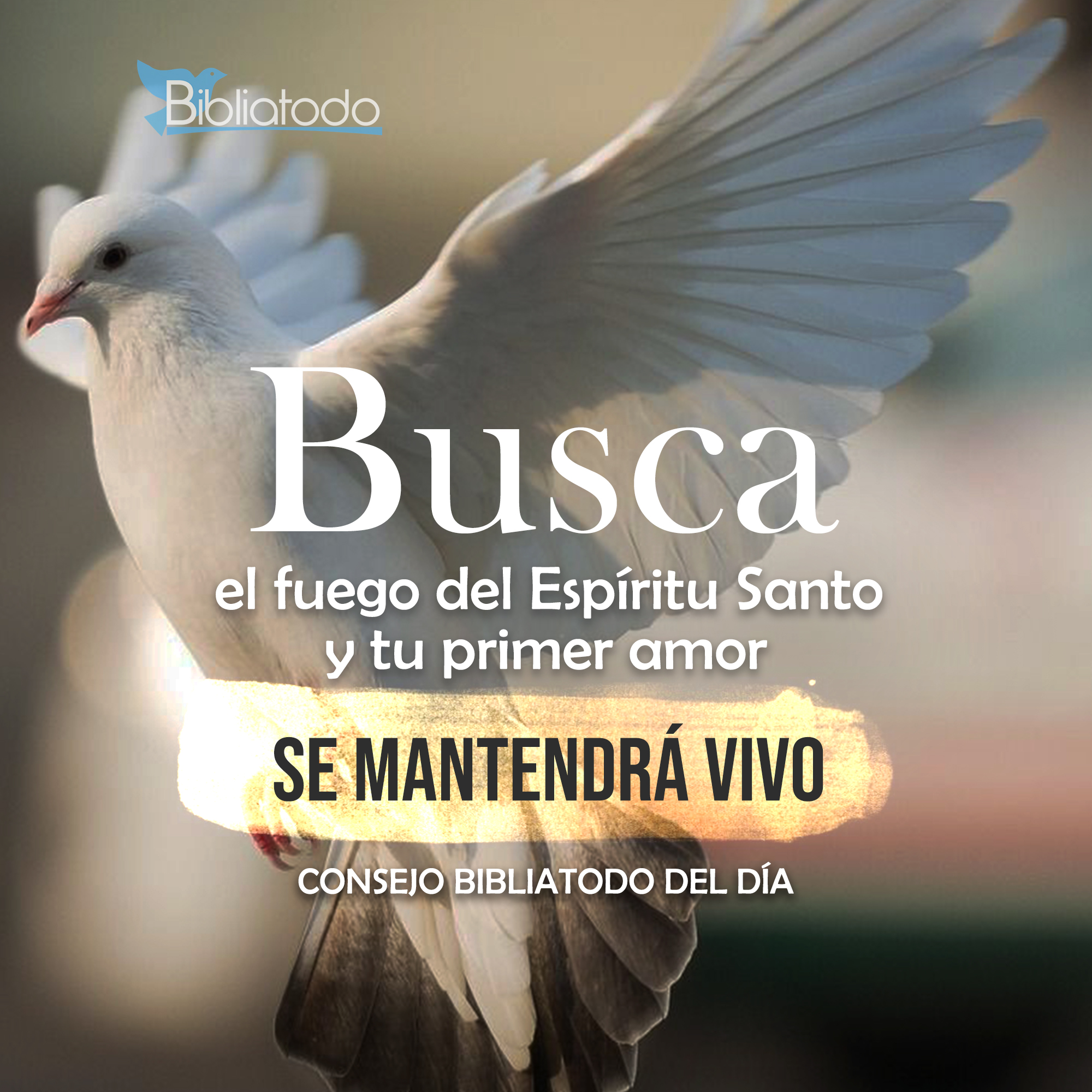 El fuego del Espíritu Santo es vida para los hijos de Dios