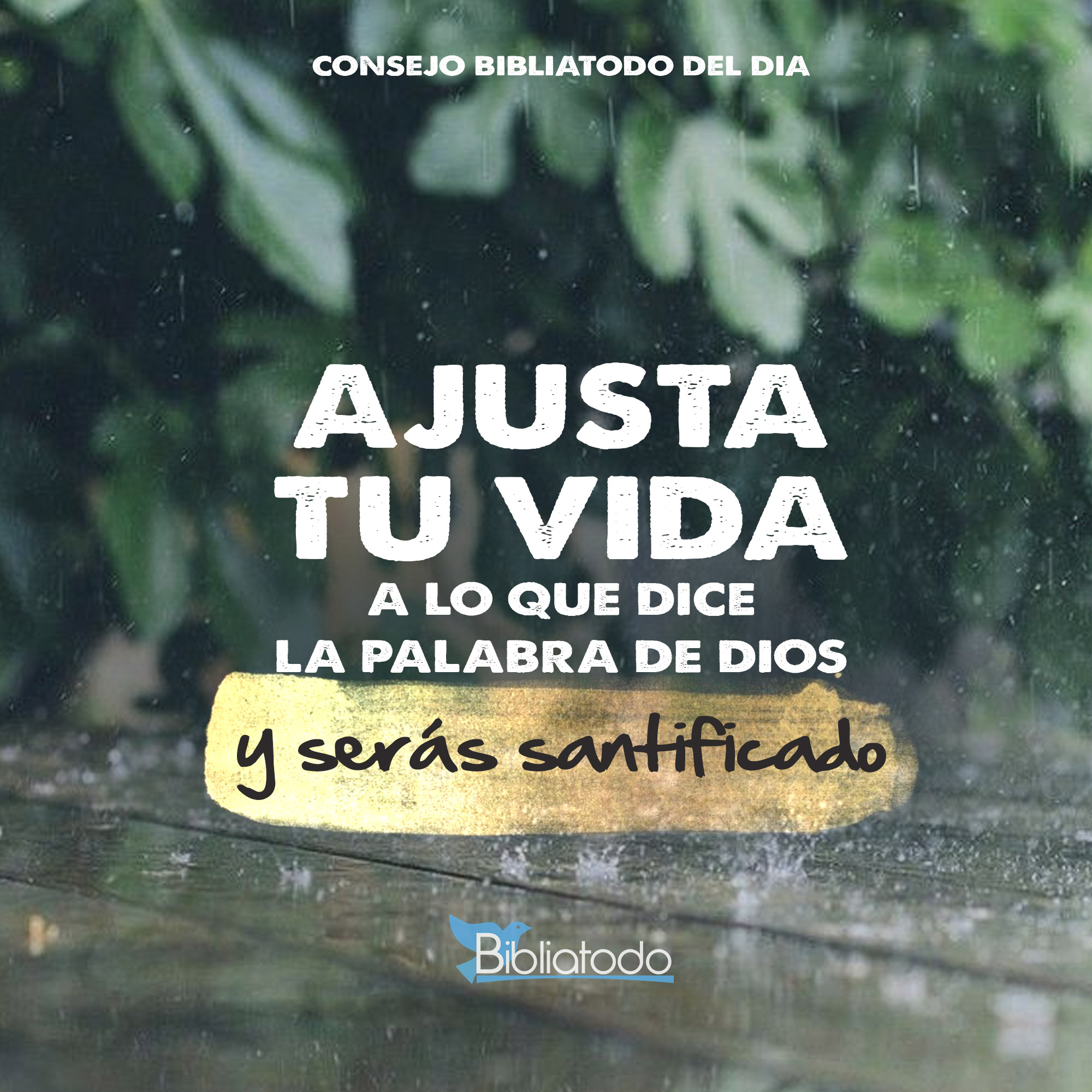 Ajusta tu vida a lo que dice la palabra de Dios
