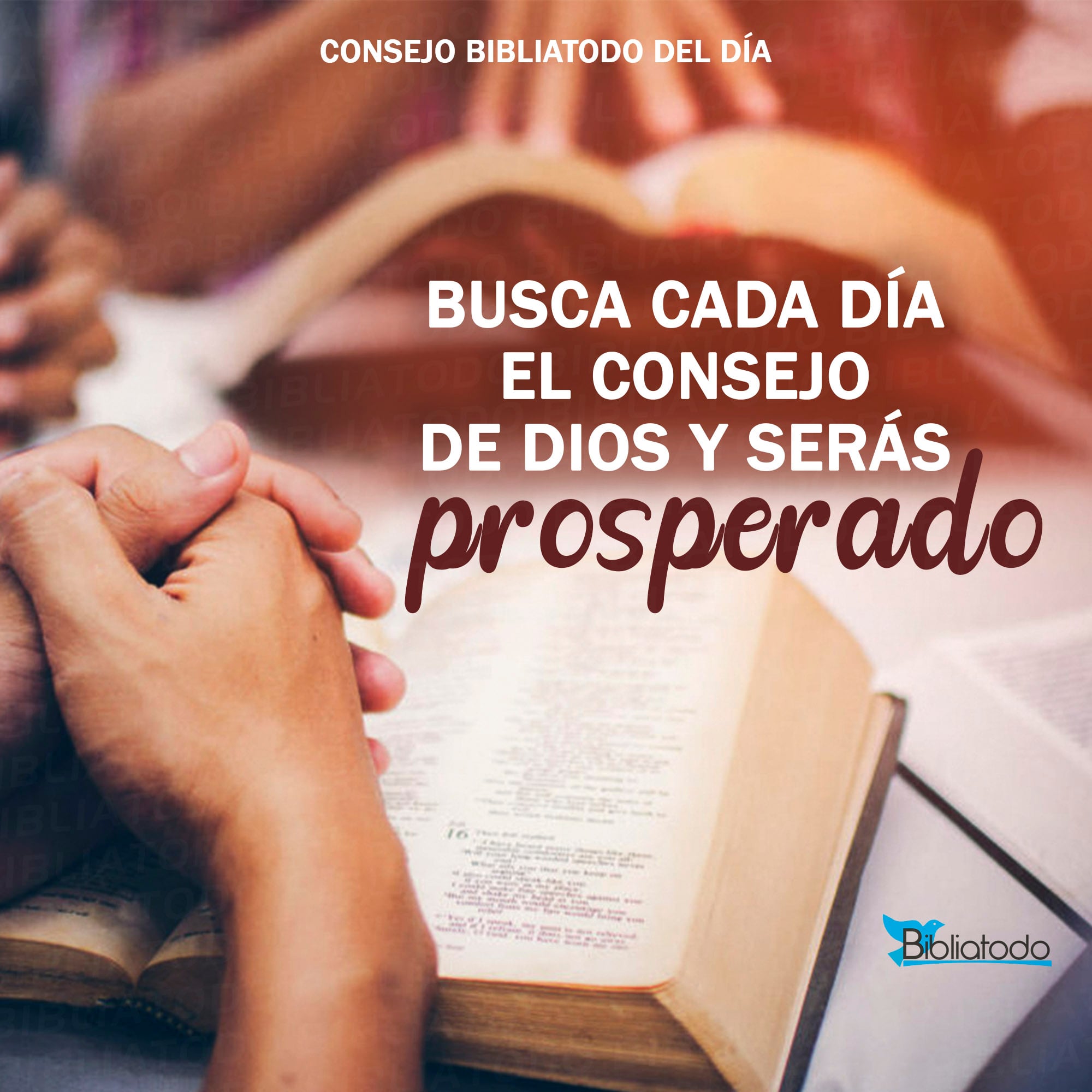 Busca cada día el consejo de Dios