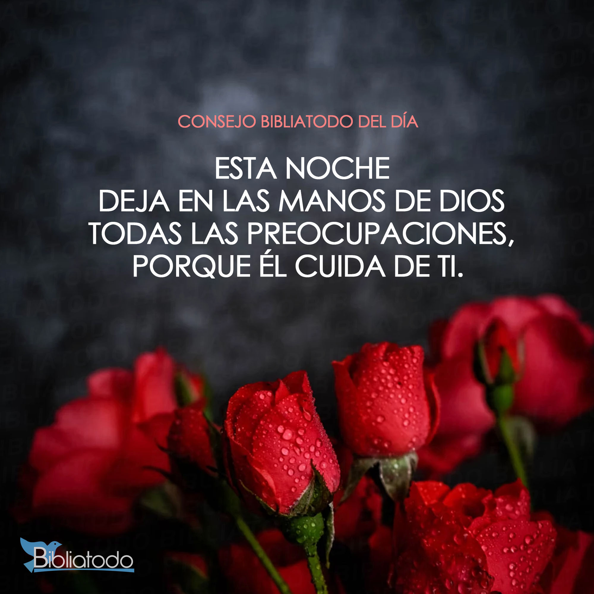 Esta noche deja en las manos de Dios todas las preocupaciones