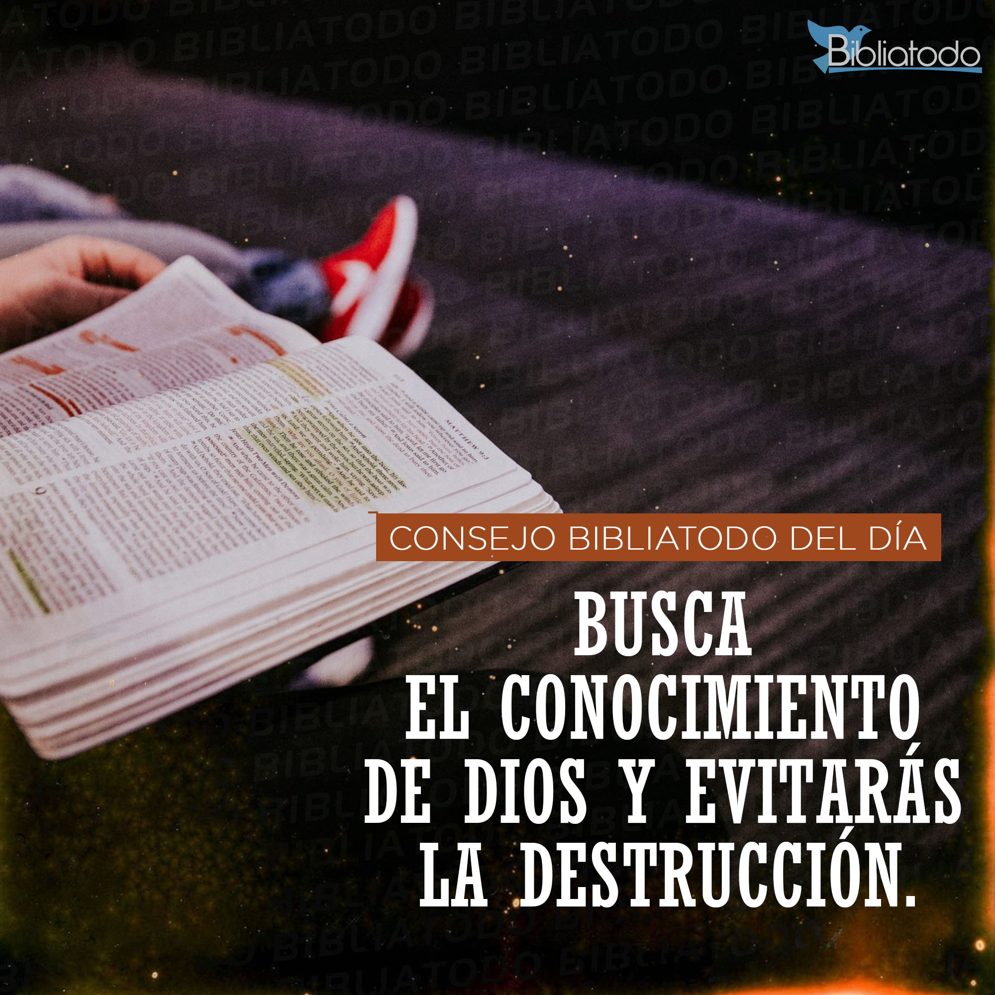 Busca el conocimiento de Dios y evitarás la destrucción