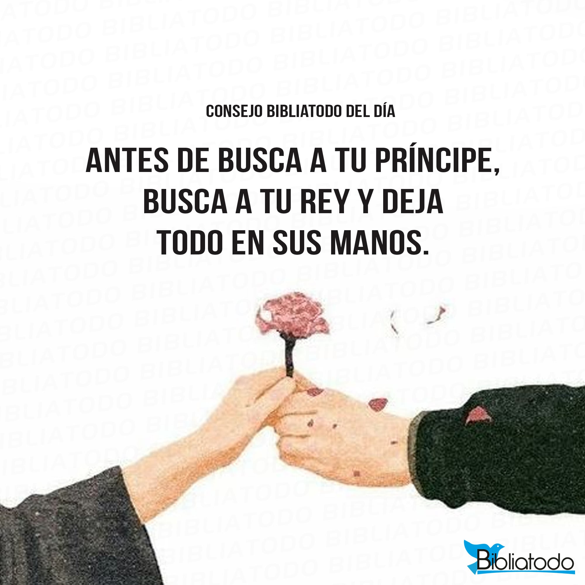 Antes de busca a tu príncipe