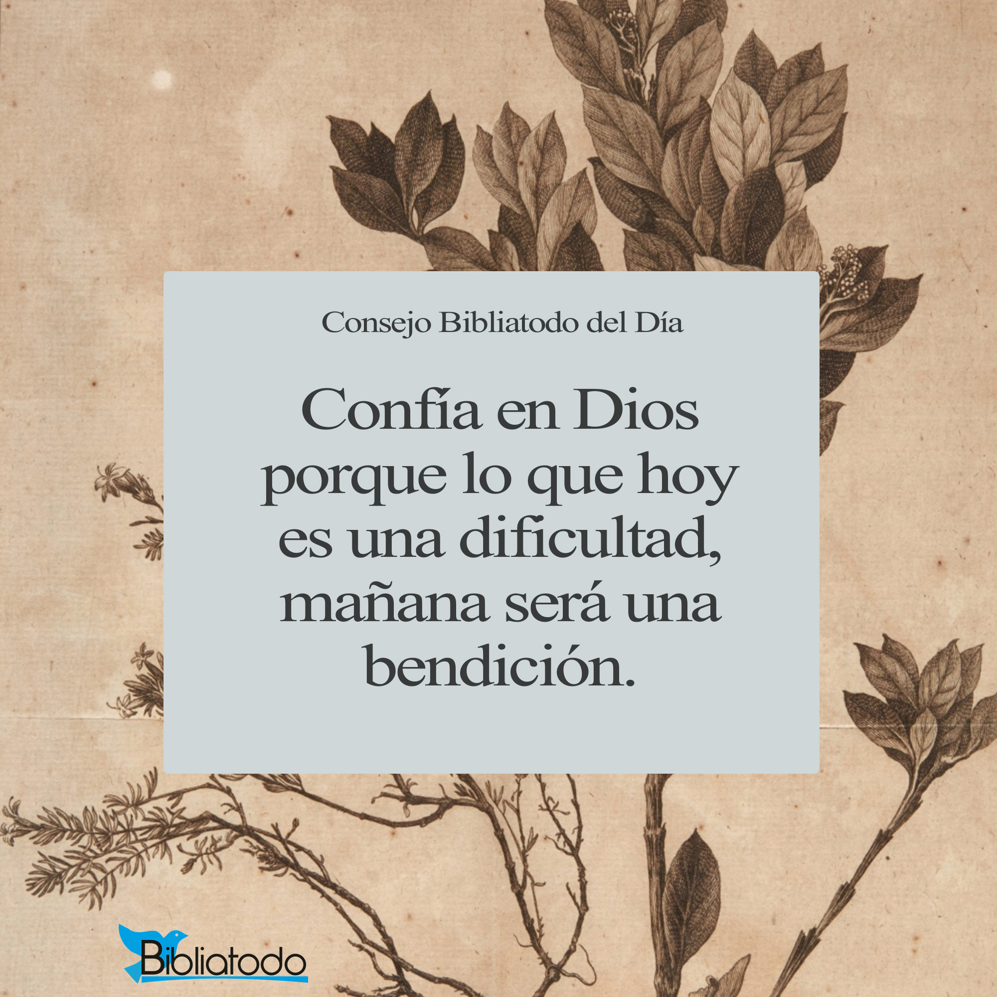 Confía en Dios porque lo que hoy es una dificultad