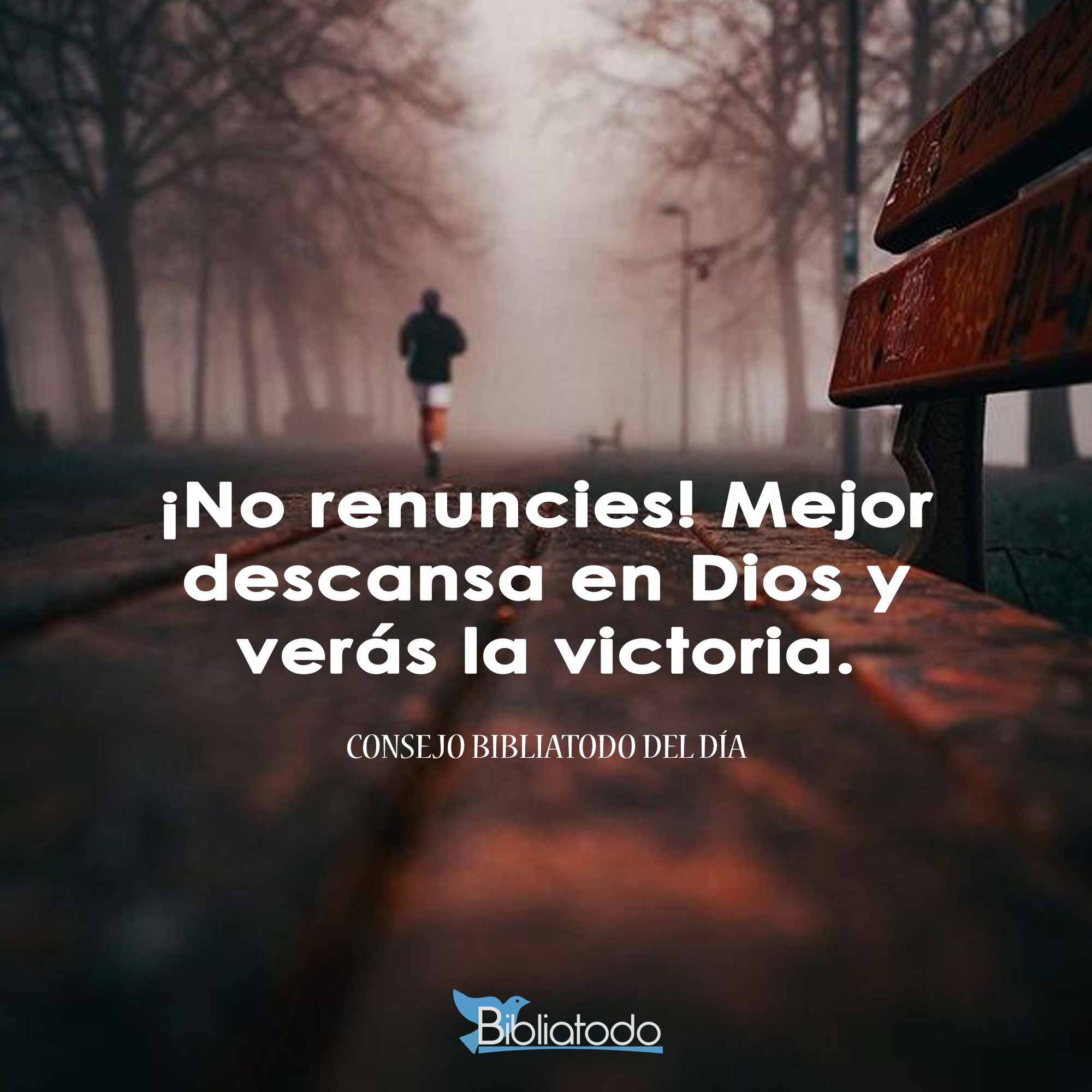 Mejor descansa en Dios y verás la victoria - IMAGENES CRISTIANAS, image size:2000x2000