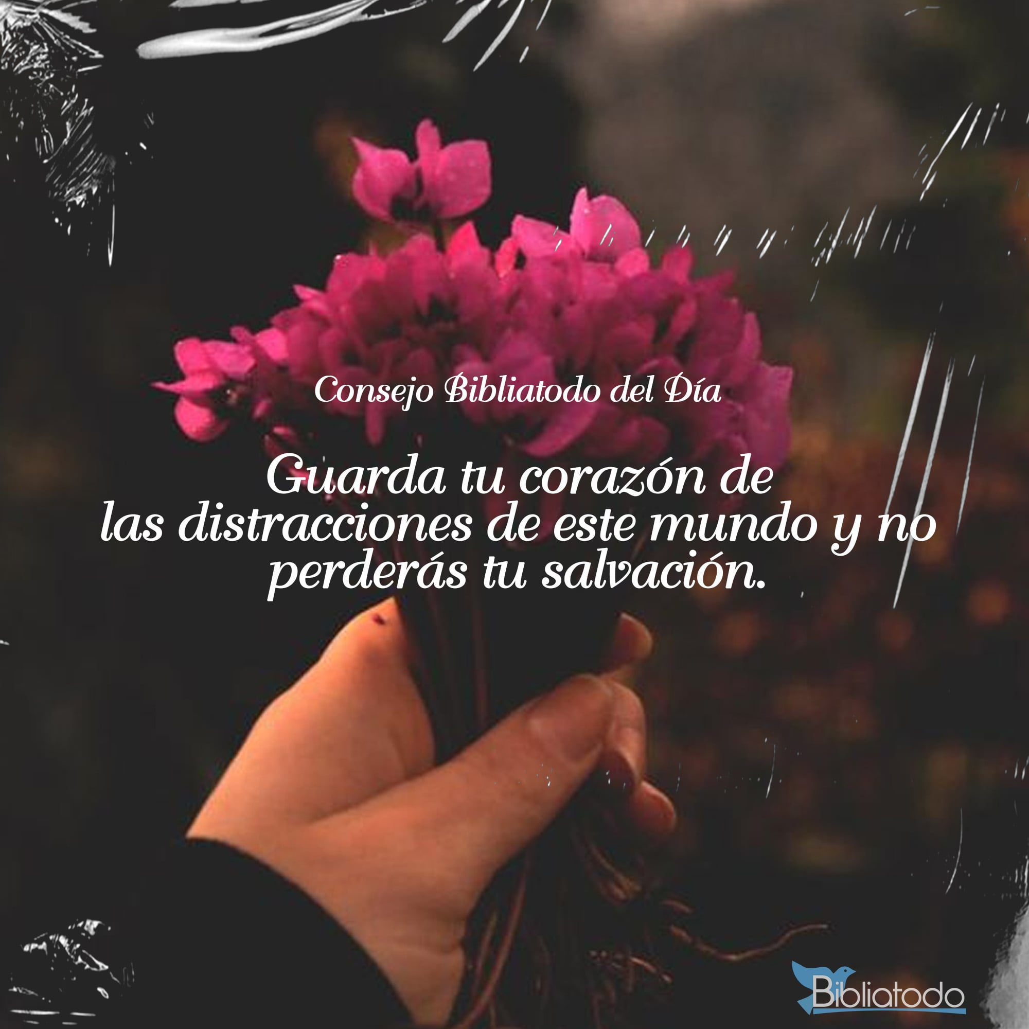 Guarda tu corazón de las distracciones