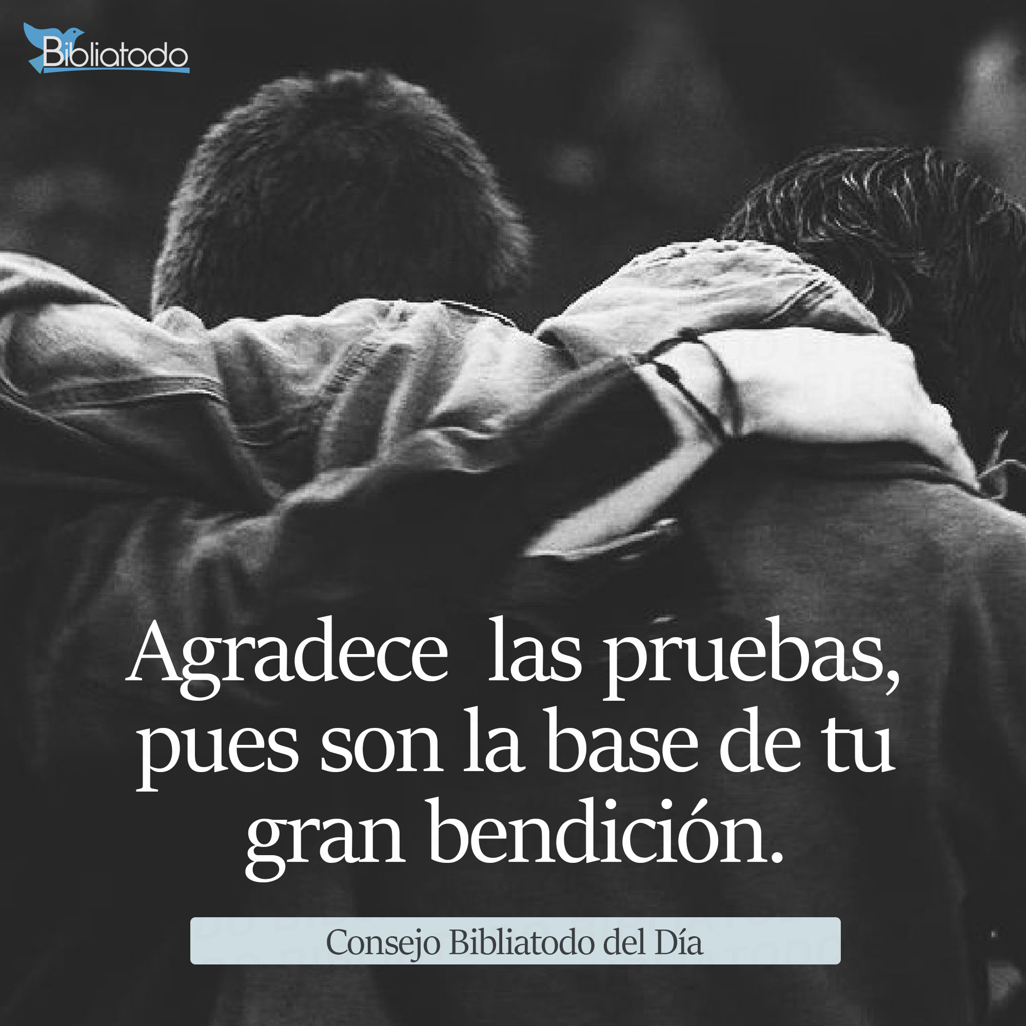 Agradece las pruebas