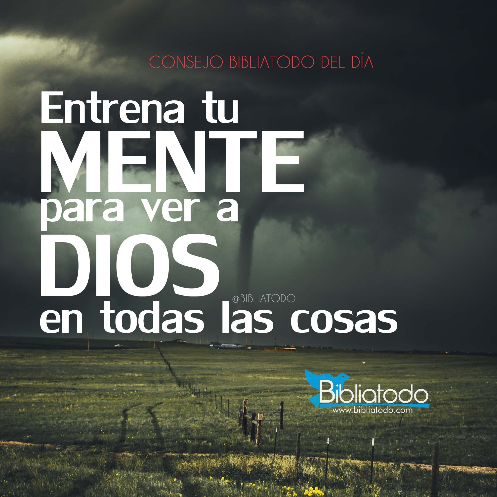 Entrena tu mente para ver a Dios en todas las cosas IMAGENES CRISTIANAS