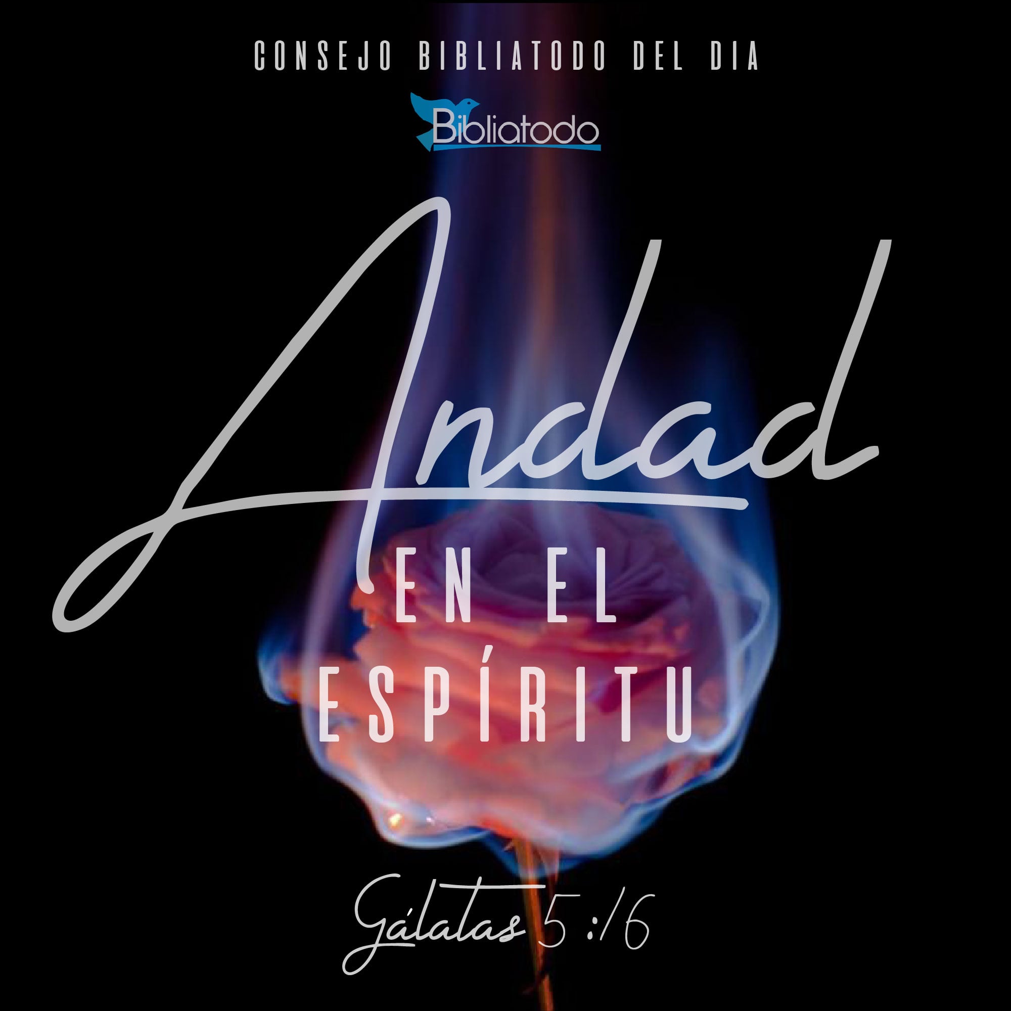 Andad en el espíritu