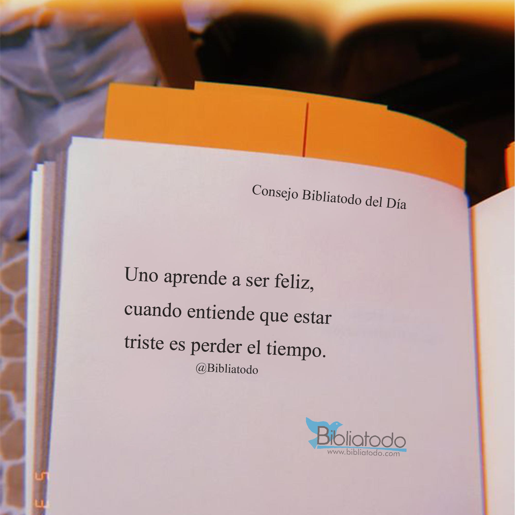 Uno aprende a ser feliz cuando entiende que estar triste es perder el tiempo