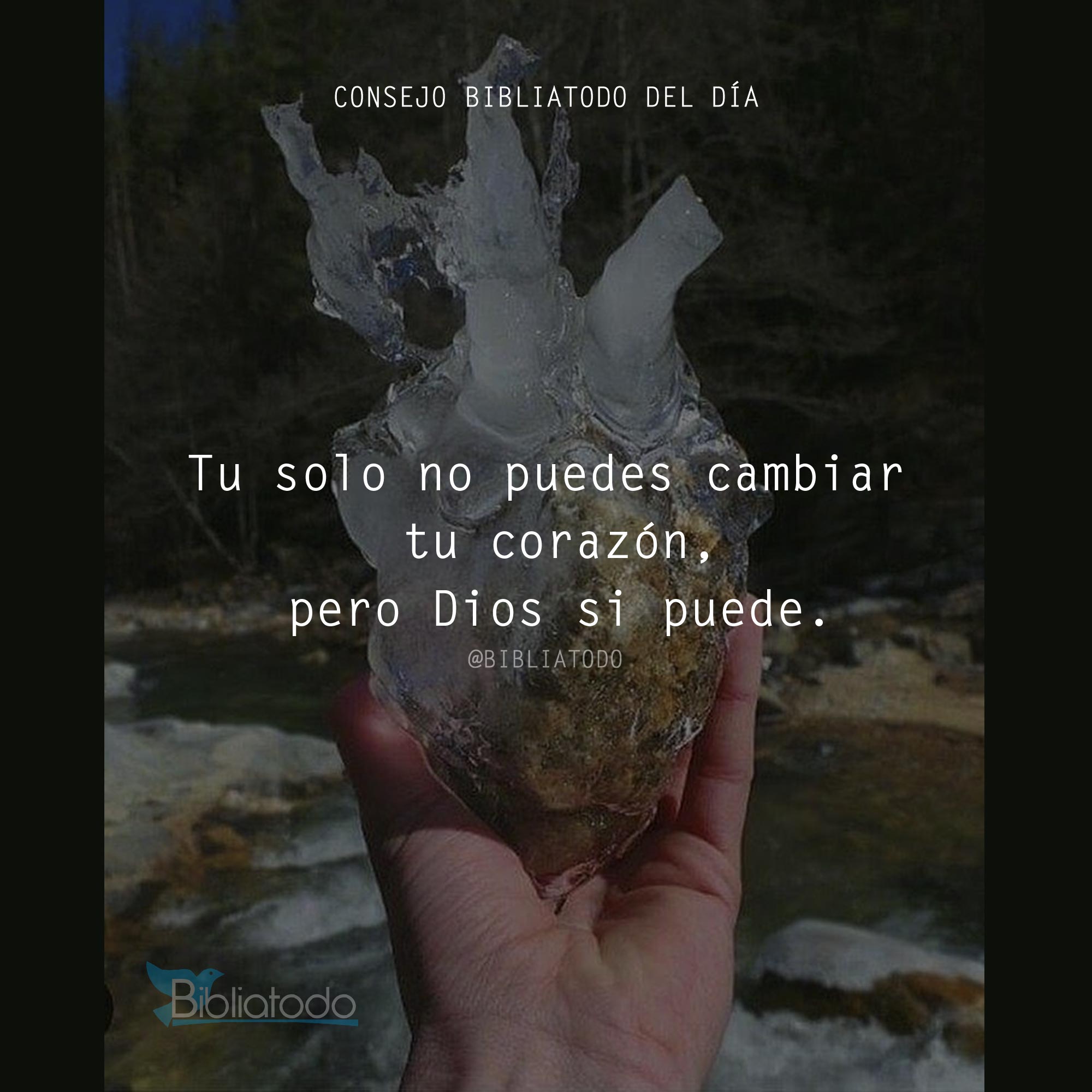 Tu solo no puedes cambiar tu corazón pero Dios si puede