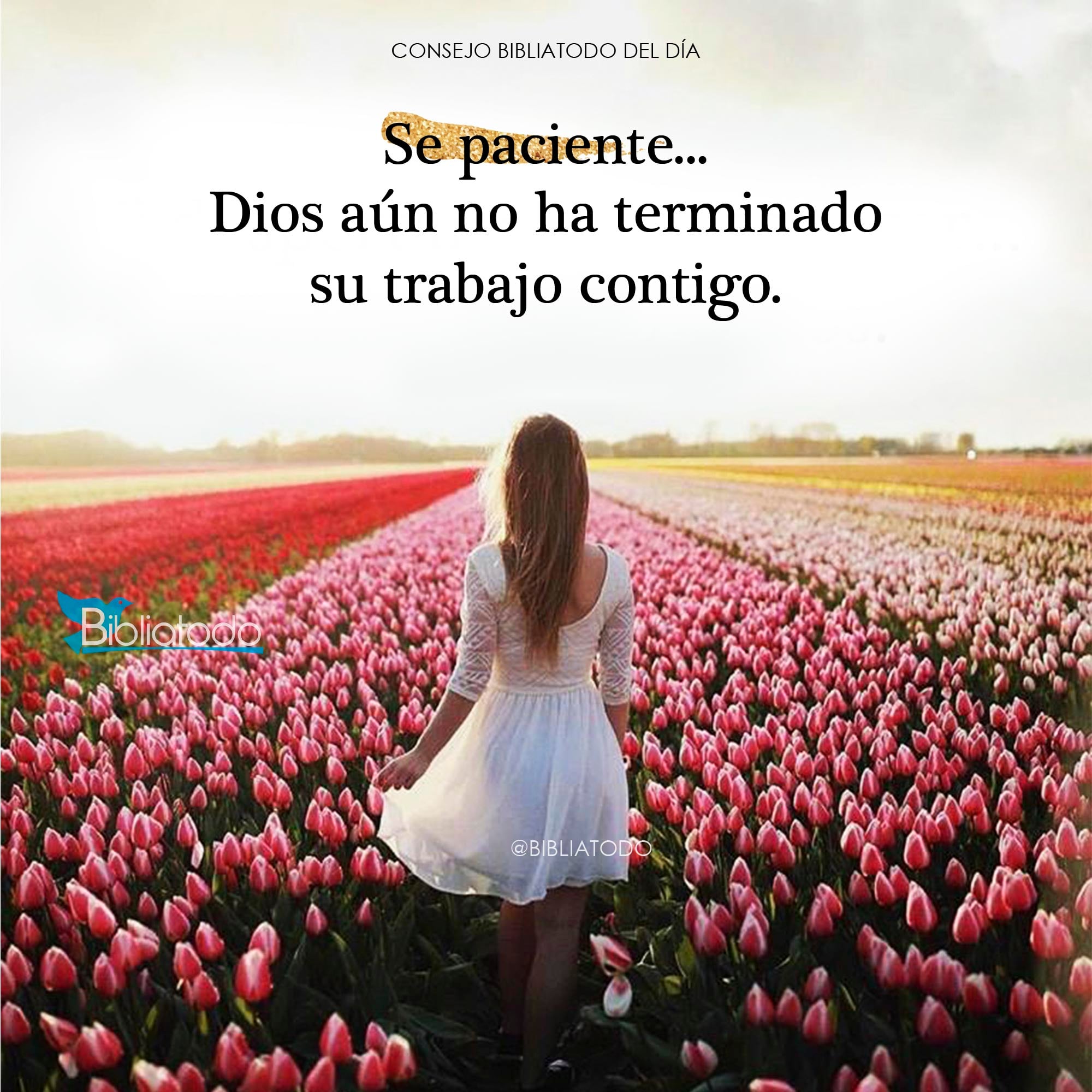 Se paciente Dios aún no ha terminado su trabajo contigo