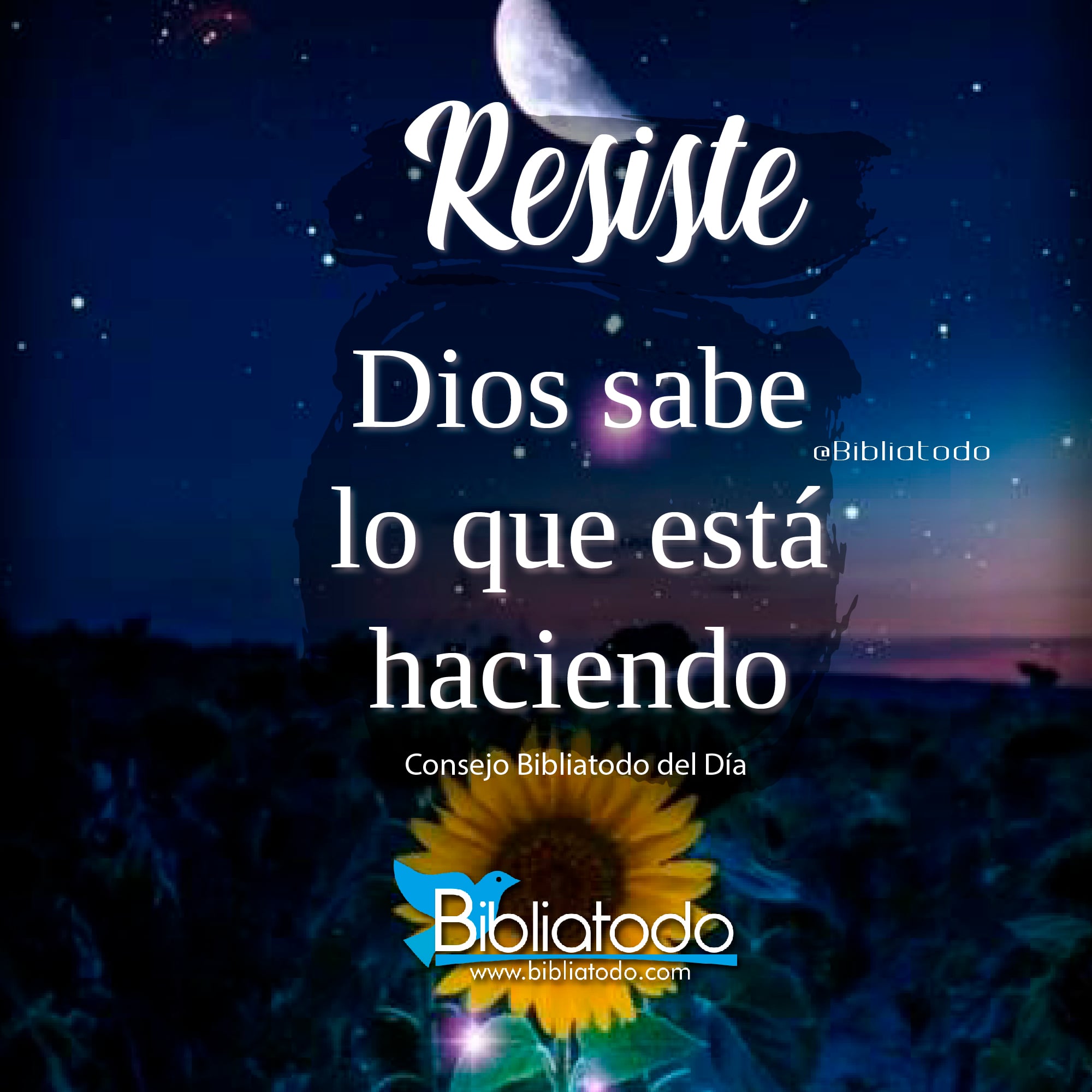 Resiste Dios sabe lo que está haciendo
