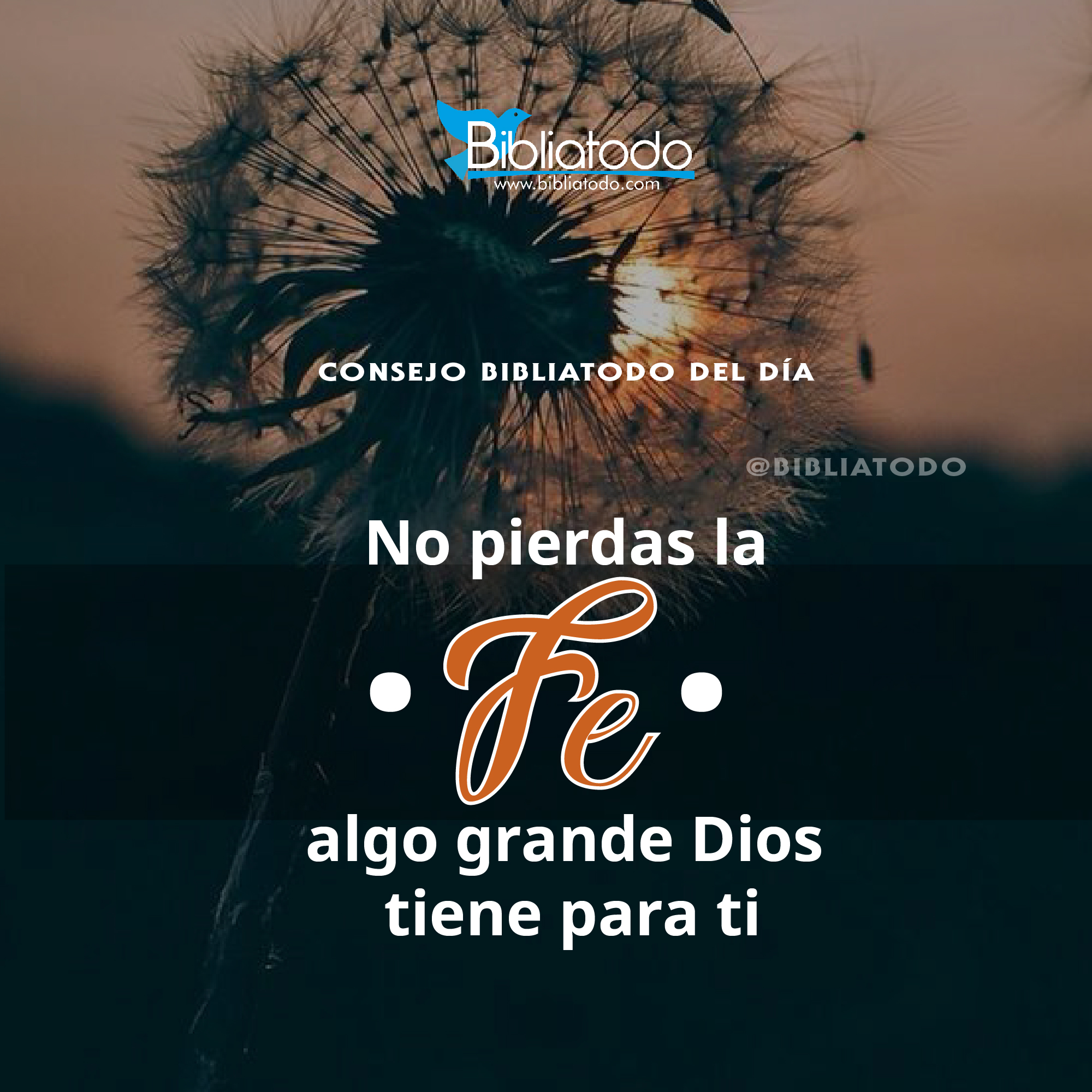 No pierdas la fe algo grande Dios tiene para ti