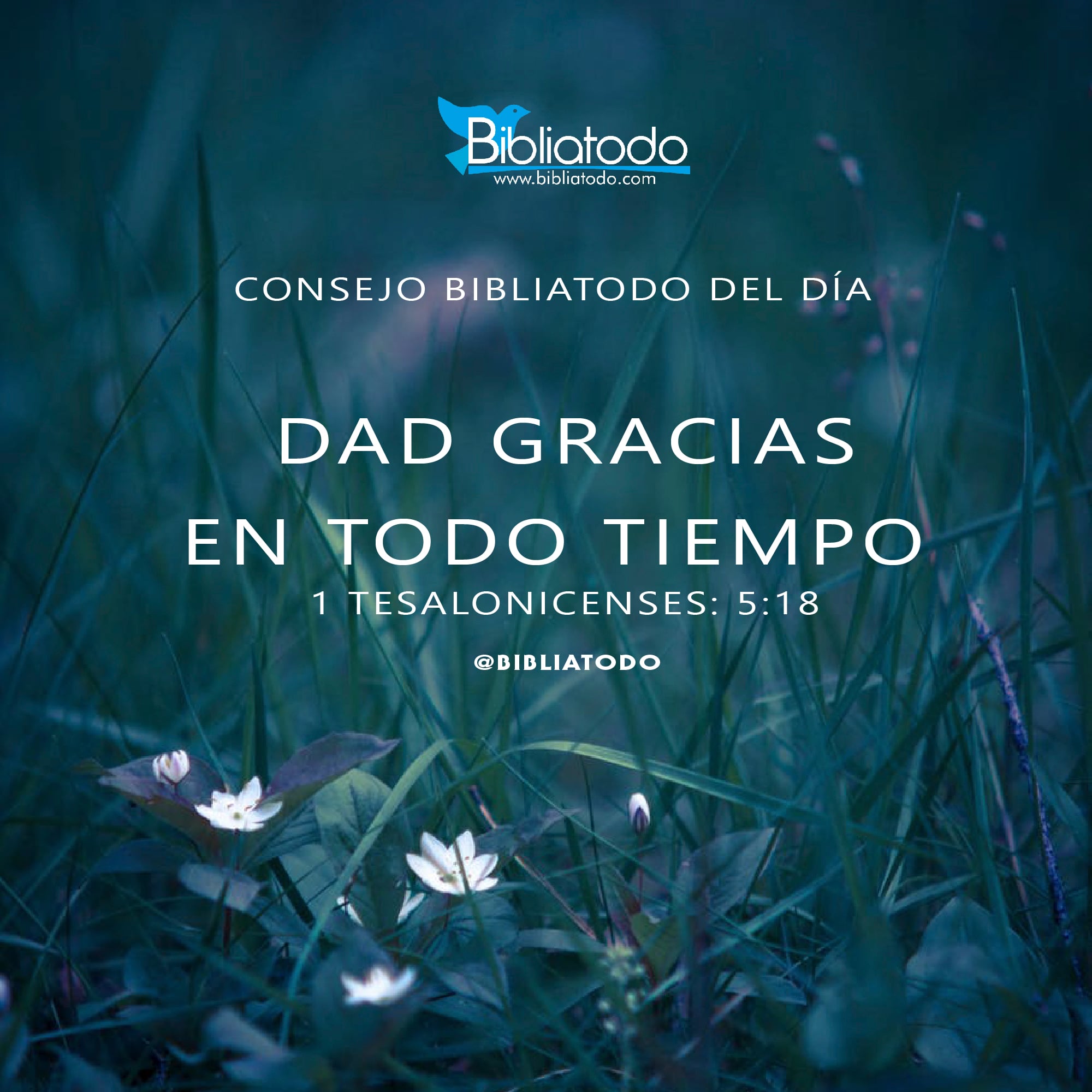 Dad gracias en Todo tiempo IMAGENES CRISTIANAS
