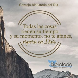 Todas las cosas tienen su tiempo y su momento no te afanes espera en Dios
