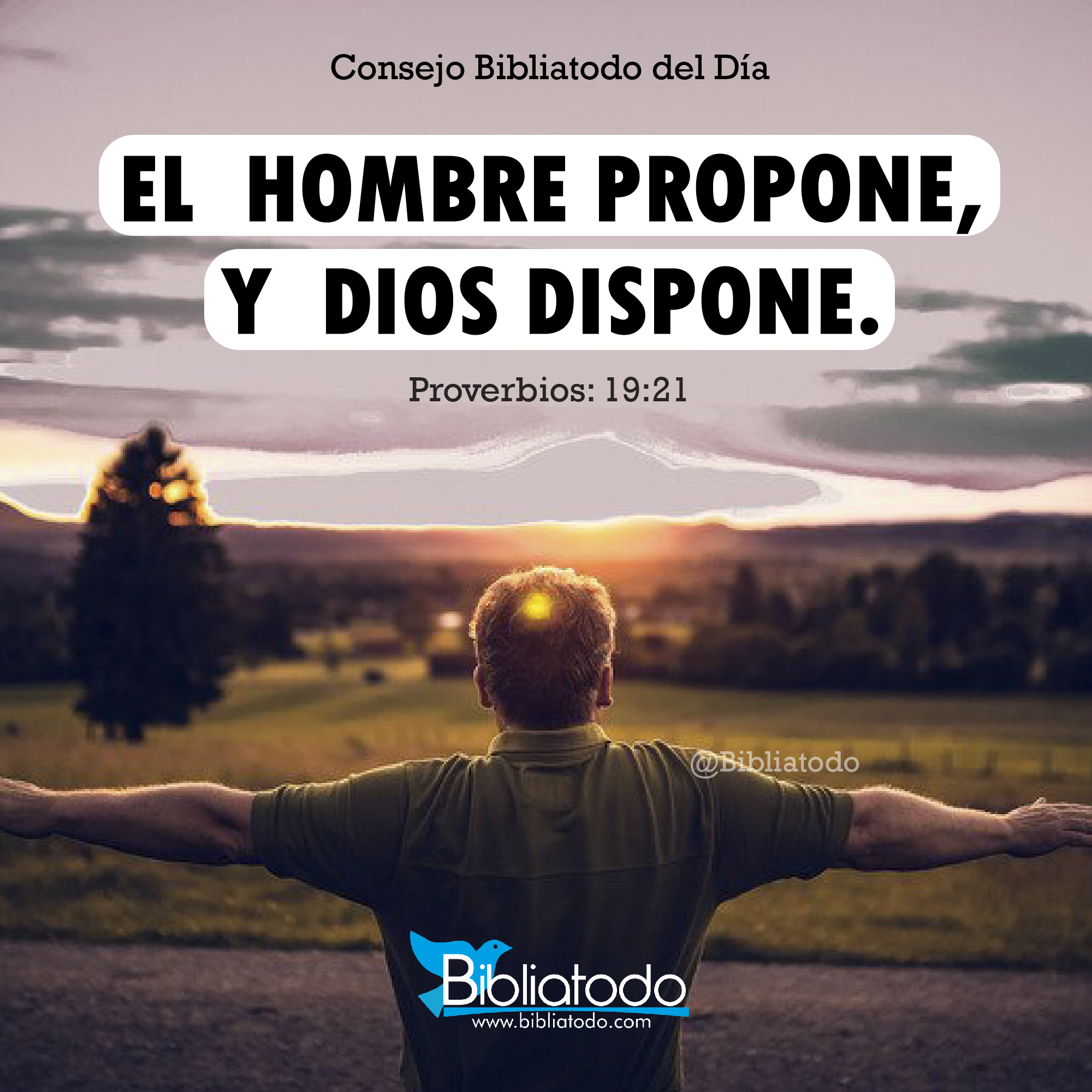 El hombre propone y Dios dispone