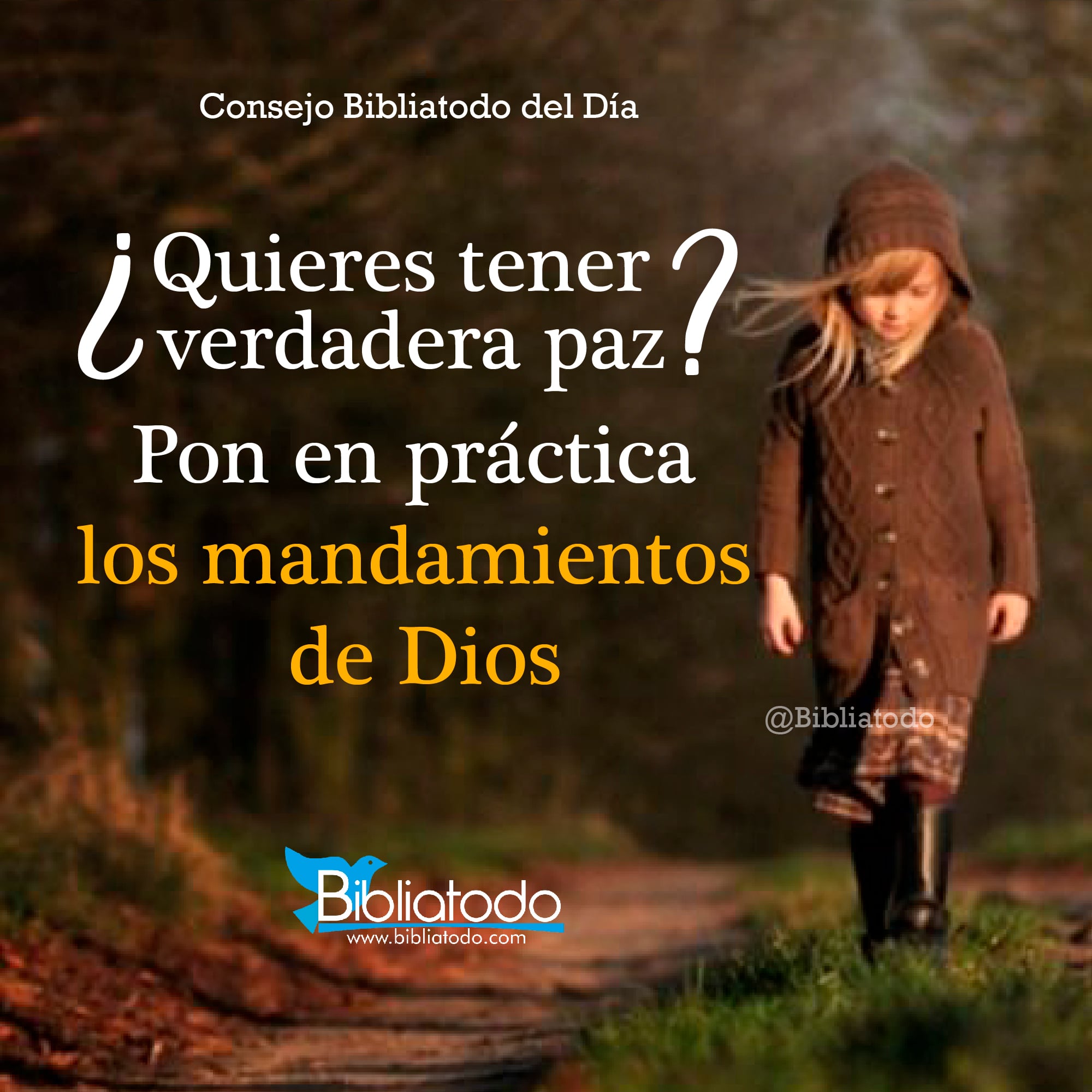 Pon en práctica los mandamientos de Dios