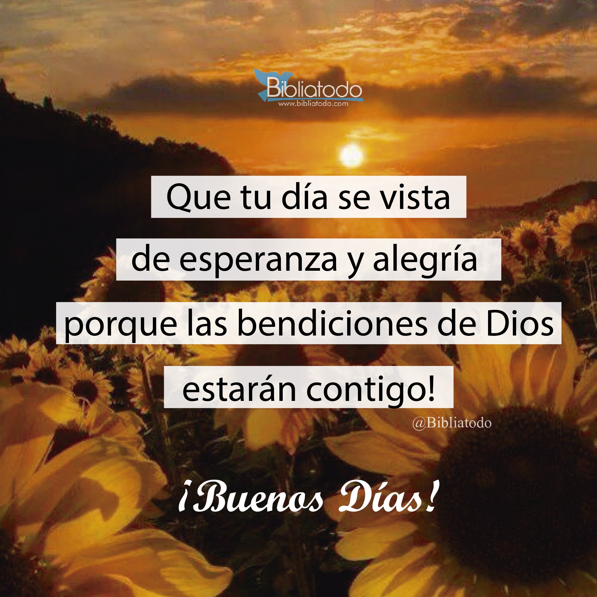 Que Tengas Un Dia Lleno De Bendiciones Que tu día se vista de esperanza y alegría porque las bendiciones de