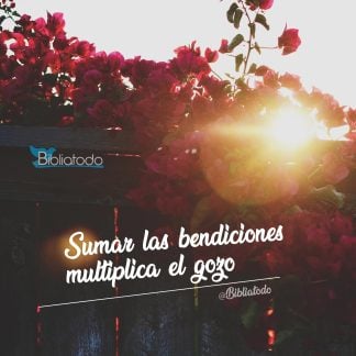 Sumar las bendiciones multiplica el gozo