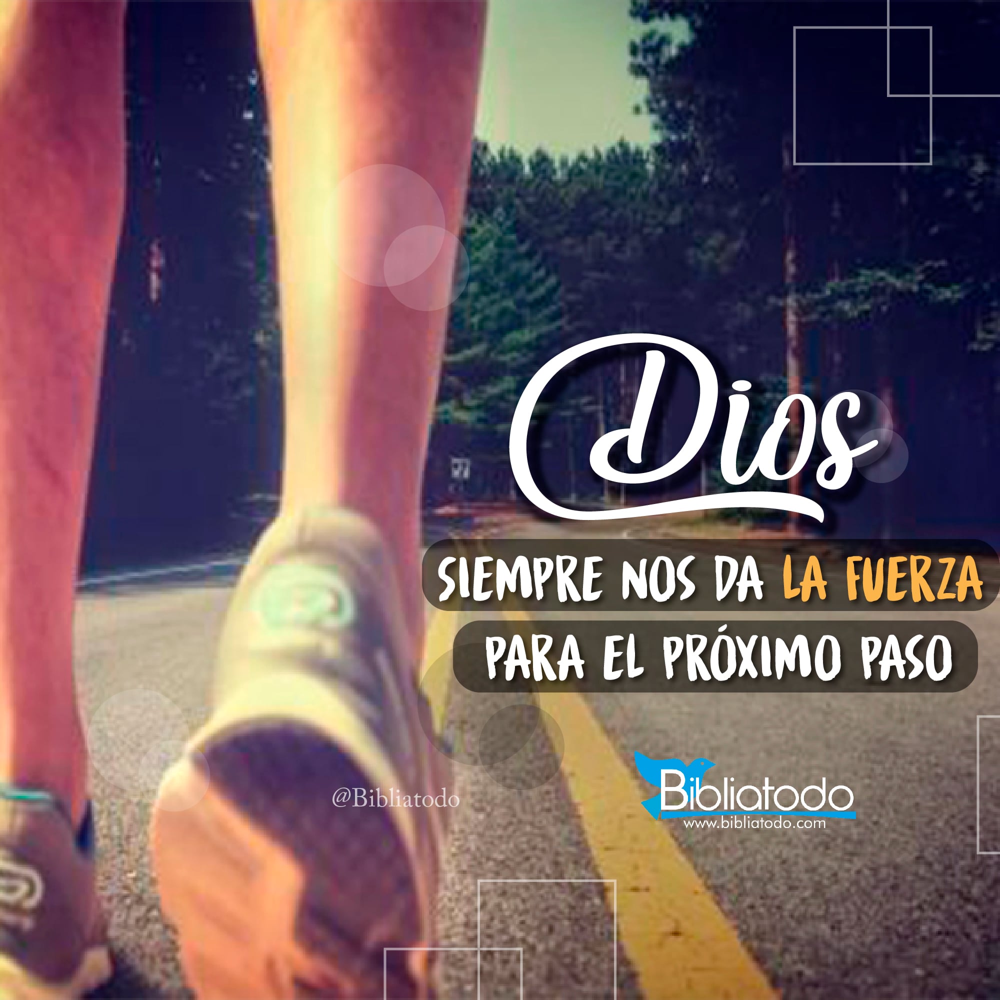 Dios siempre nos da la fuerza para el próximo paso