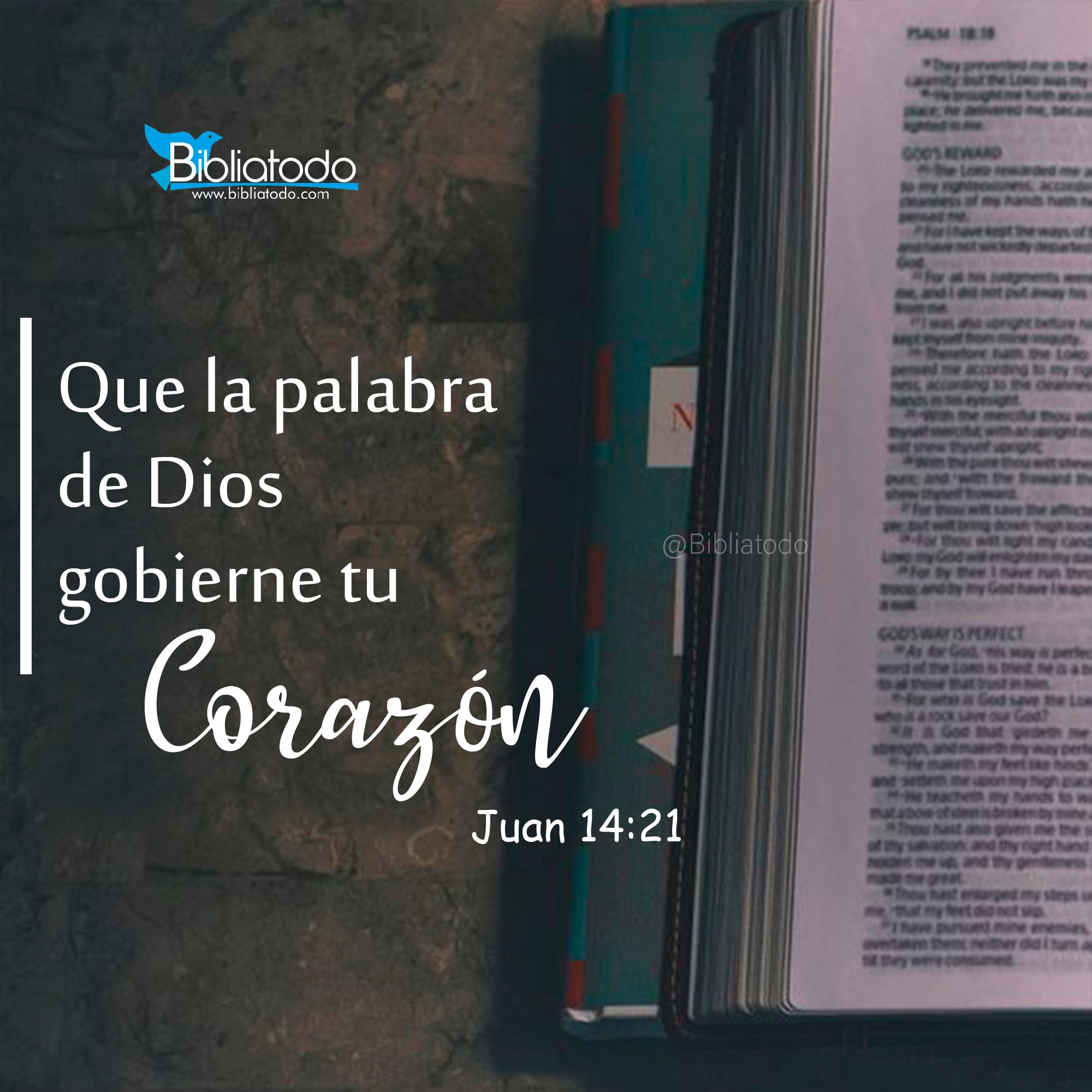 Que la palabra de Dios gobierne tu corazón