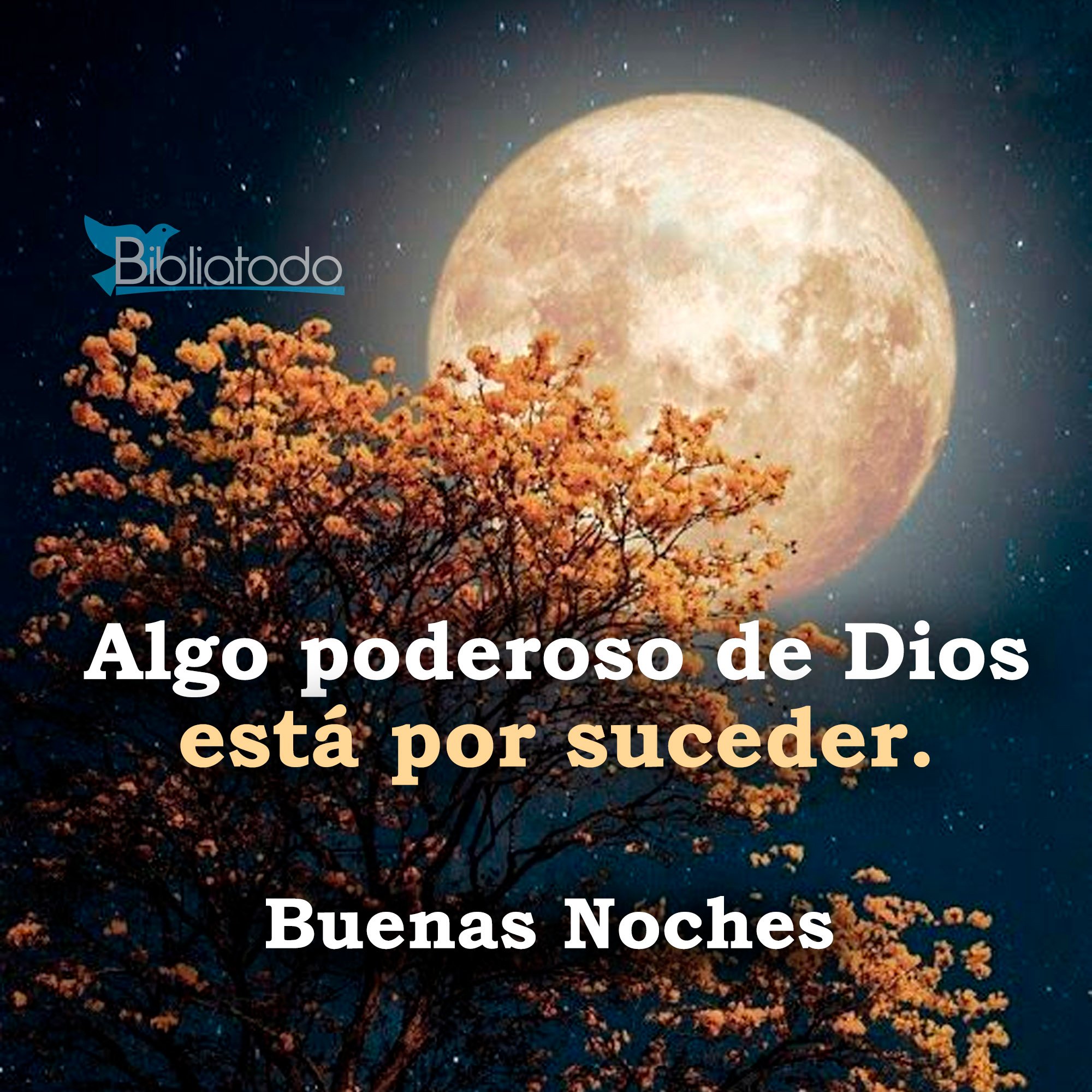 Algo poderoso de Dios está por suceder