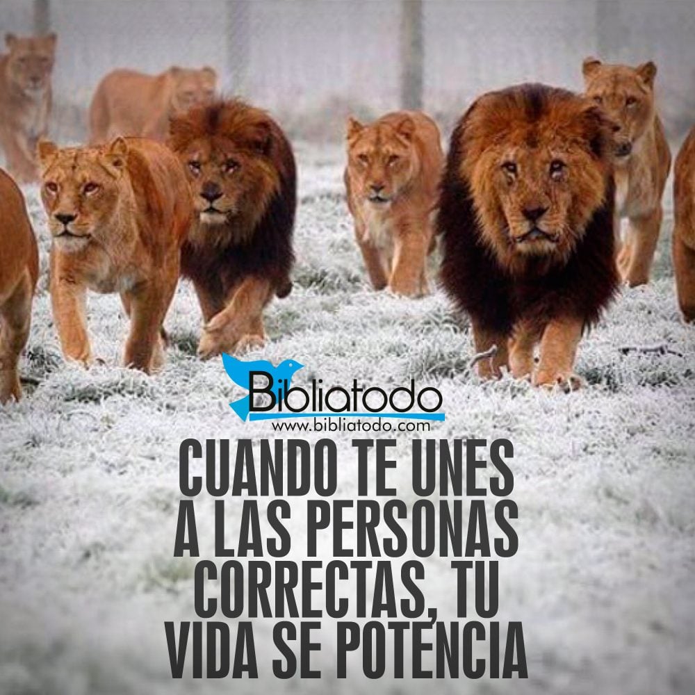 Imágenes: Cuando te unes a las personas correctas, tu vida se potencia