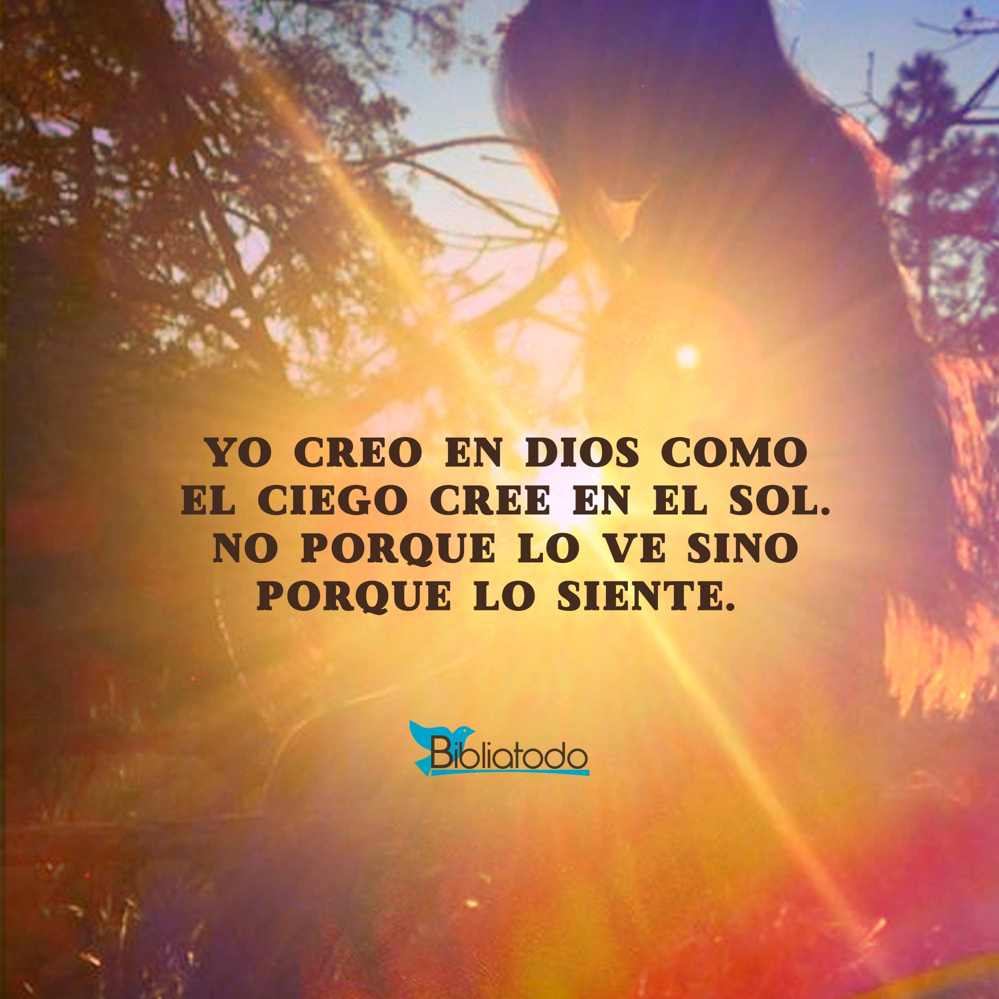 Yo creo en Dios como el ciego cree en el sol