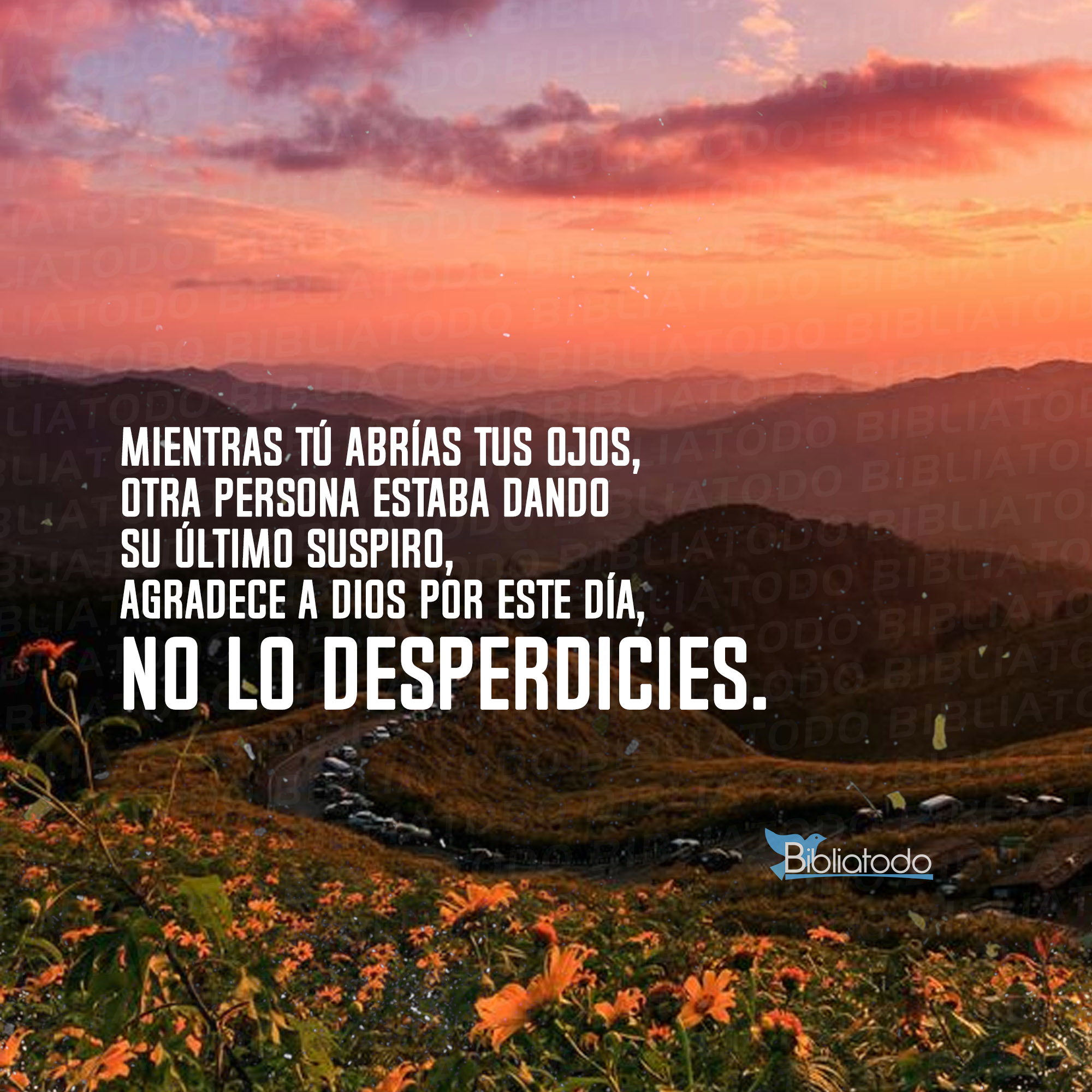 Mientras tú abrías tus ojos