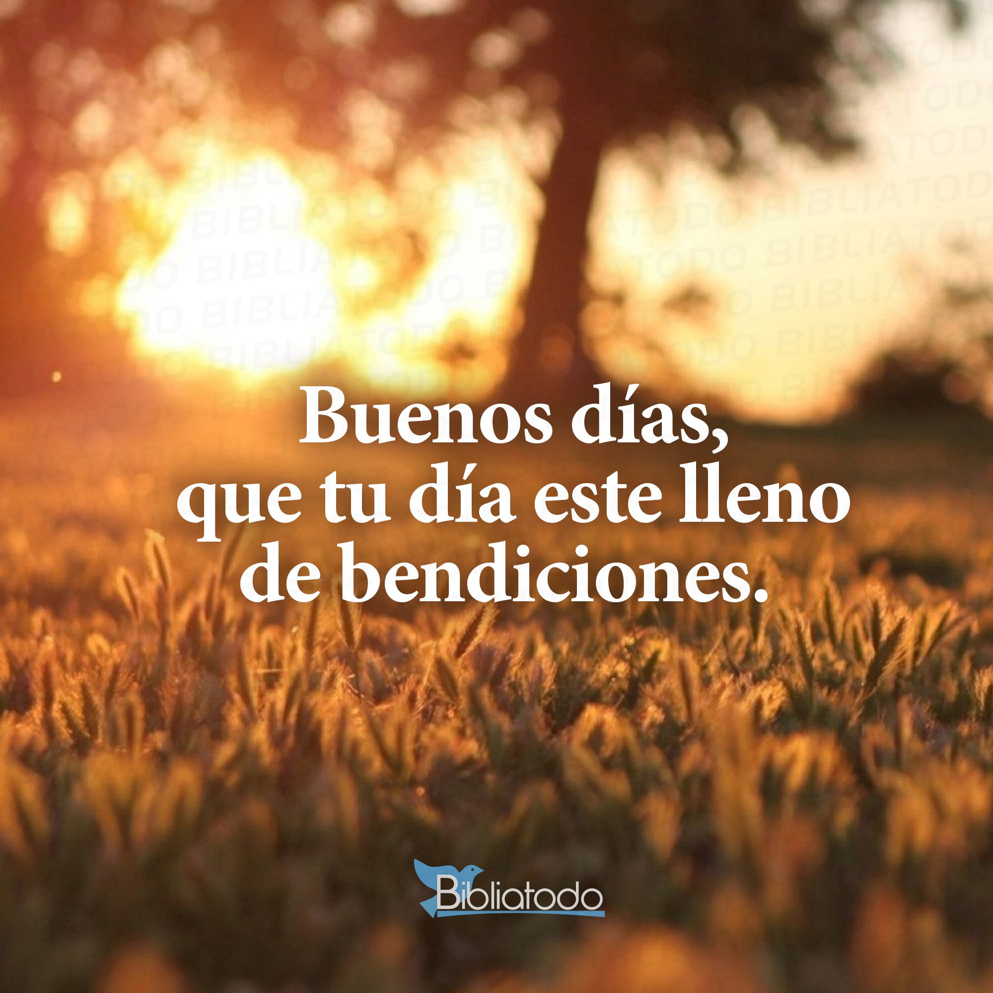 Que Tengas Un Dia Lleno De Bendiciones Buenos días que tu día este lleno de bendiciones - IMAGENES CRISTIANAS