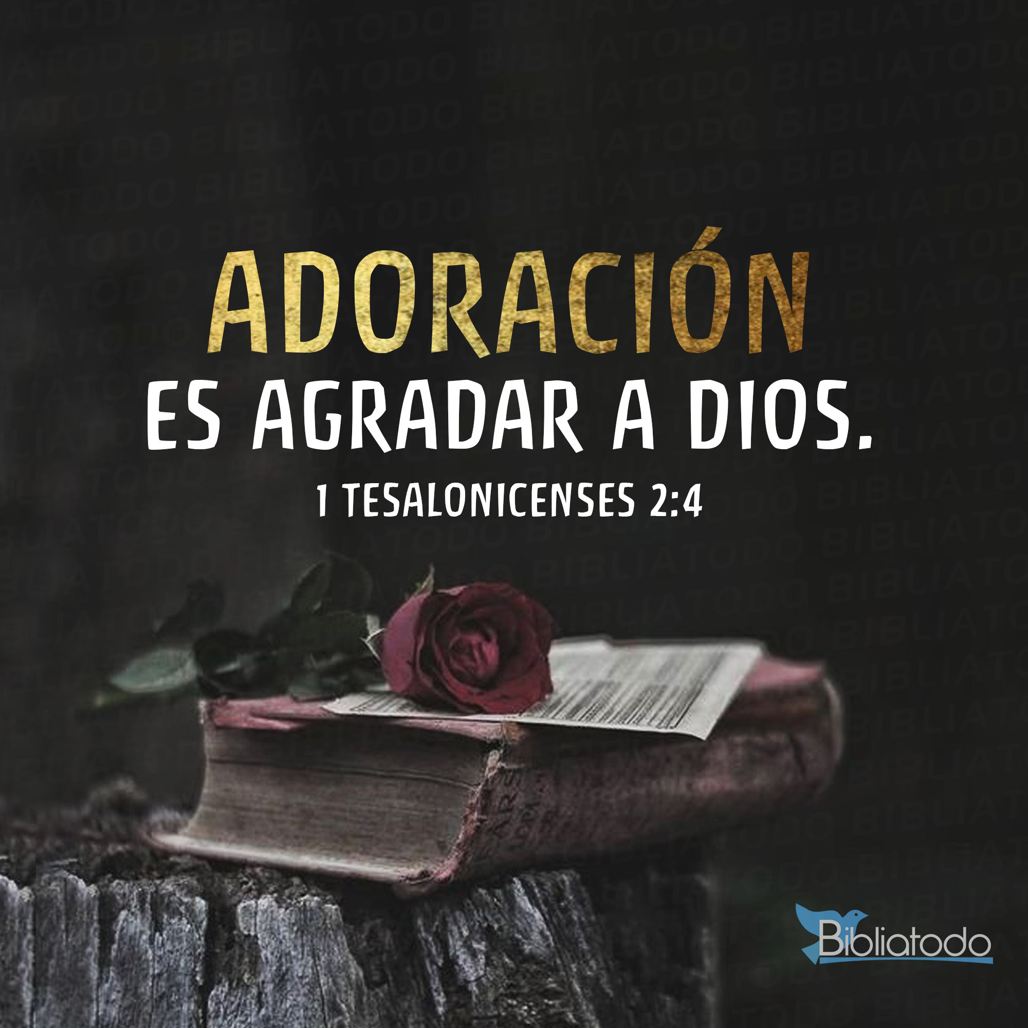 Adoración es agradar a Dios