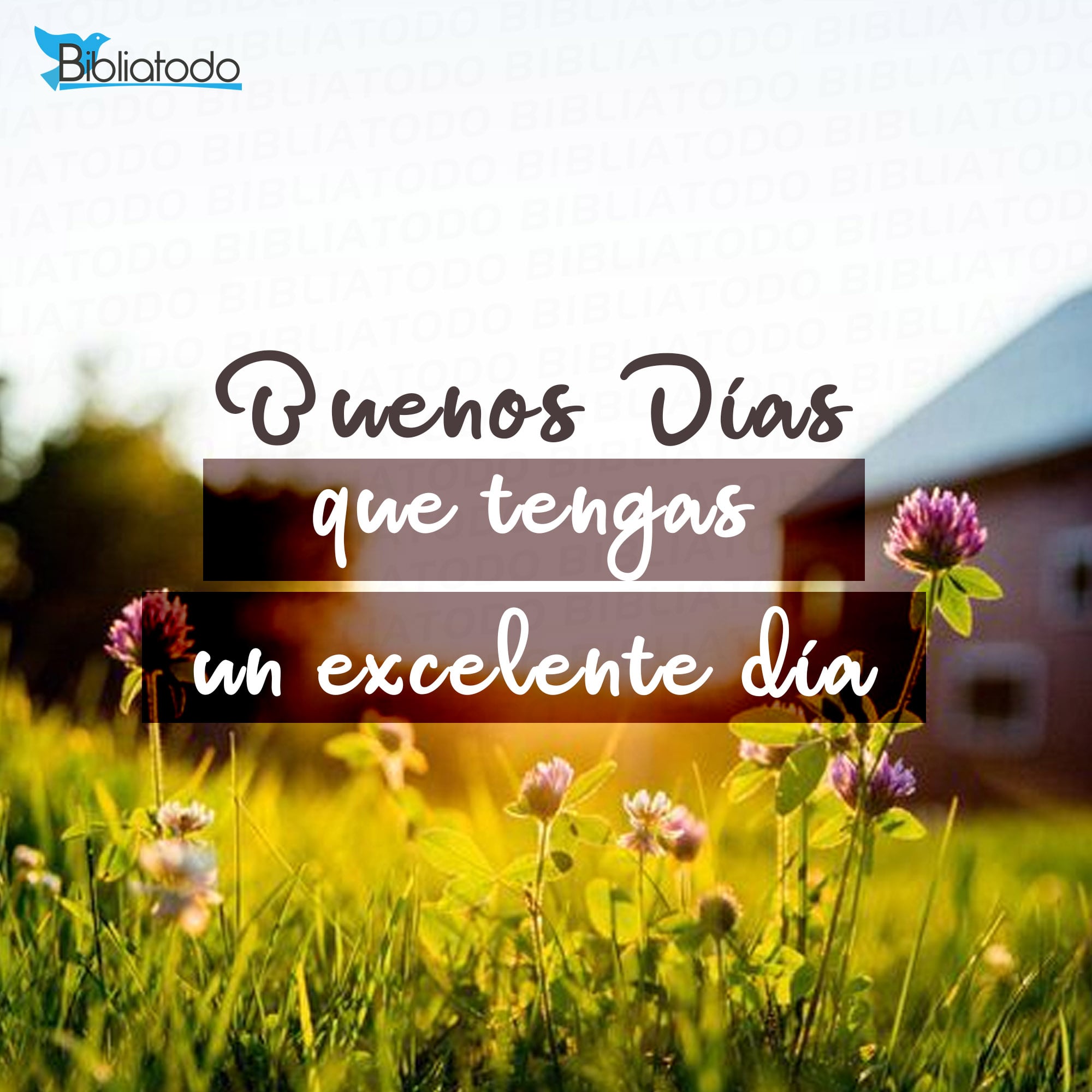 Frases para cada día de la semana con imágenes, image size:2000x2000