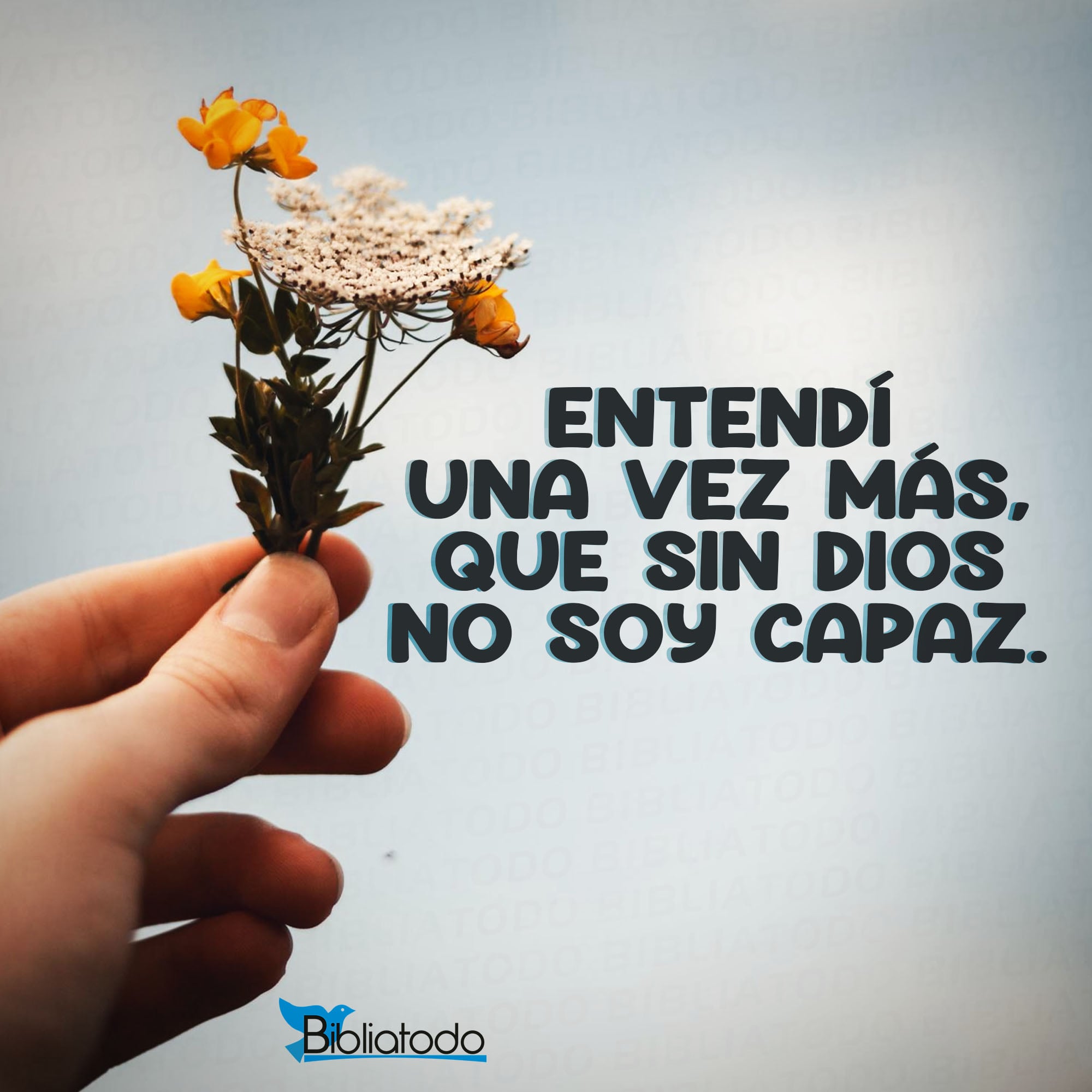 Entendí una vez más que sin Dios no soy capaz