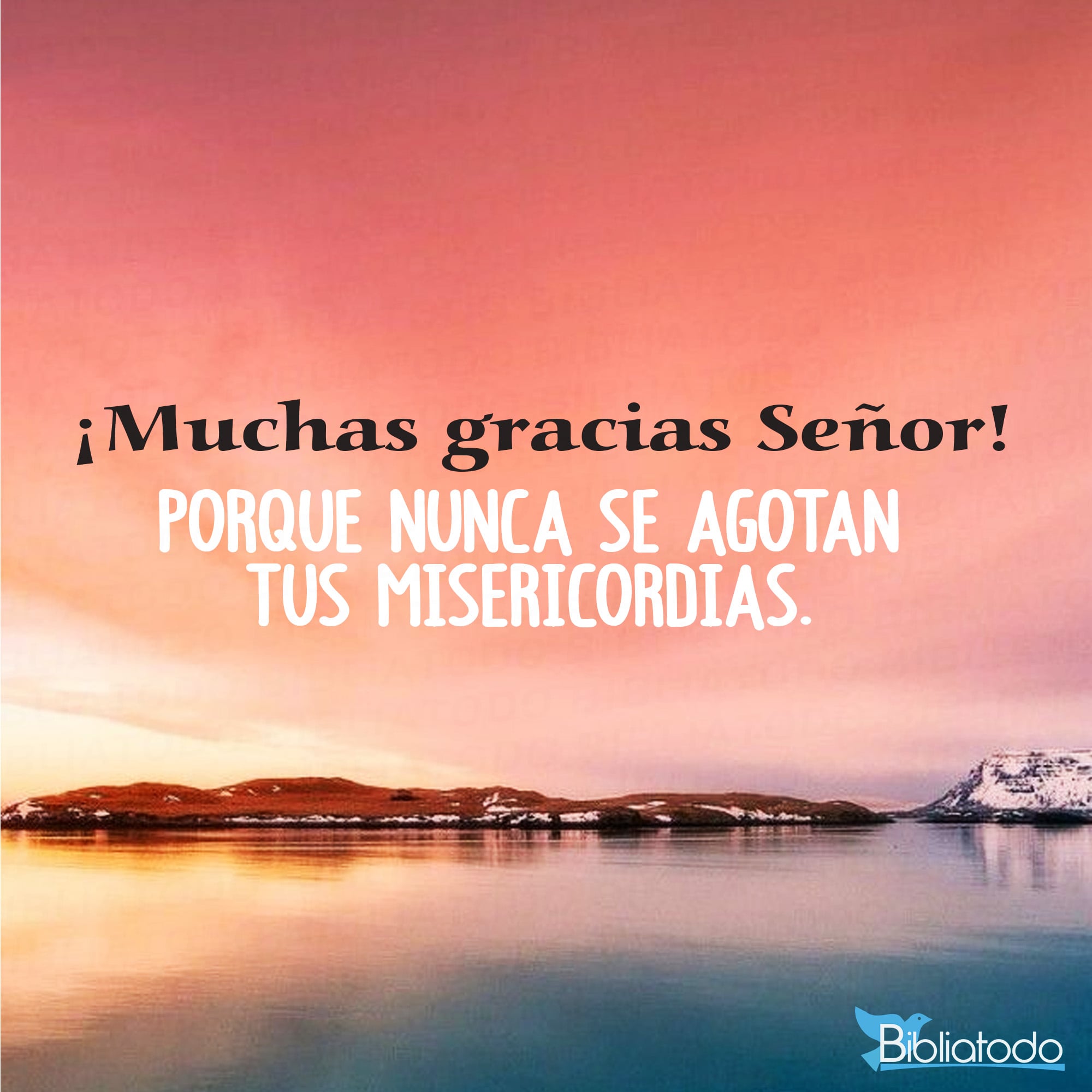 Porque nunca se agotan tus misericordias